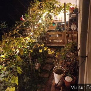 la montee du jardin de capitaine jack.jpg