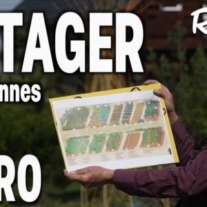 Potager pour 4 Personnes -1 Introduction - Capitaine Jack - https://capitaine-jack.blogspot.com/search/label/Jardin