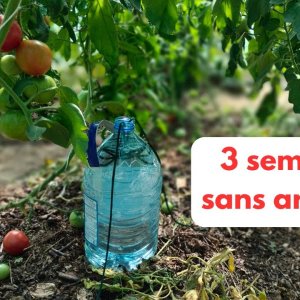 ARROSAGE, le goutte à goutte du pauvre - Capitaine Jack - https://capitaine-jack.blogspot.com/