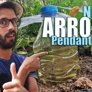 ARROSAGE automatique GRATUIT! - 1 mois tranquille - Capitaine Jack - https://capitaine-jack.blogspot.com/