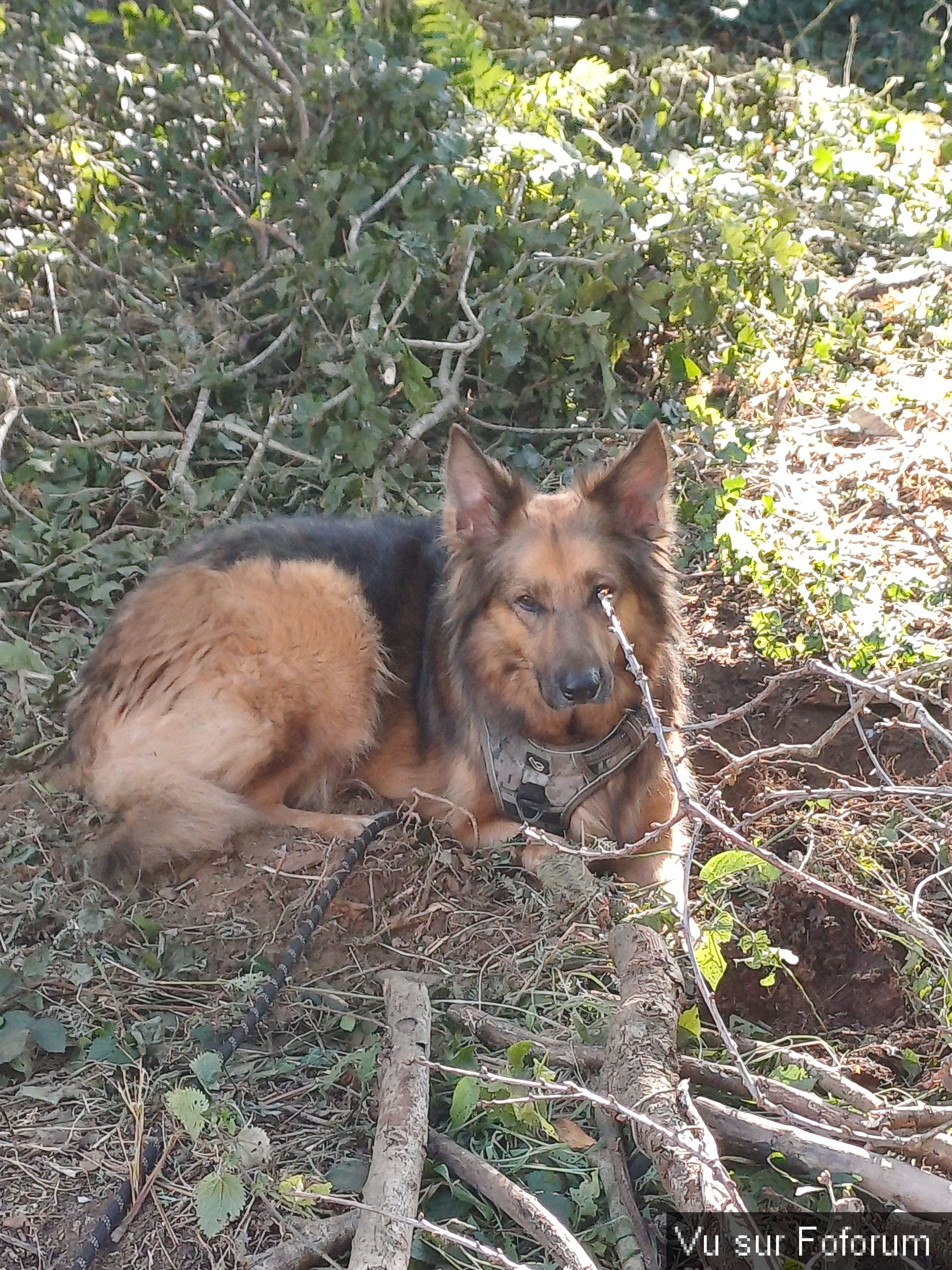 03 Luna est dans son élément