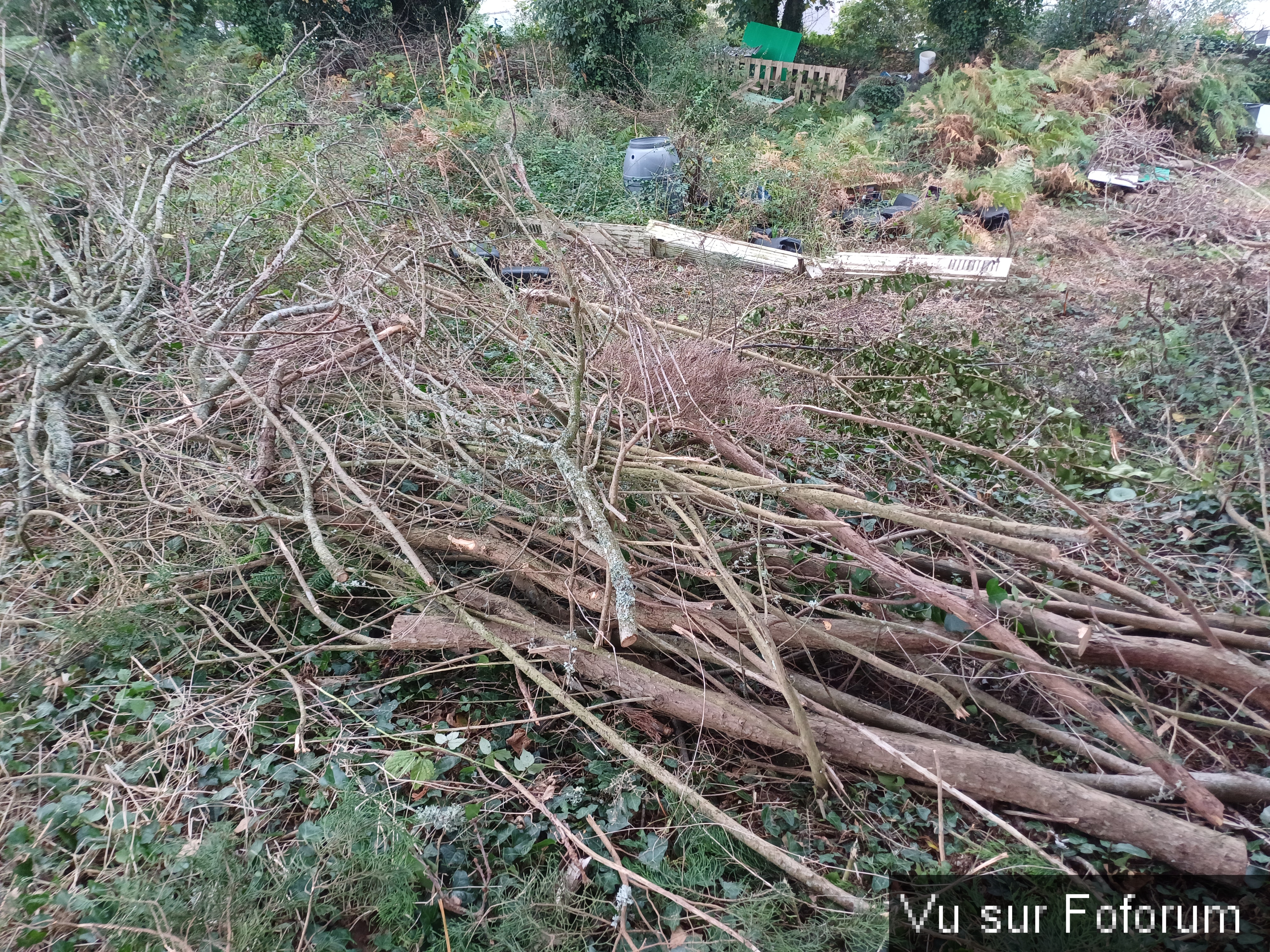 14 Bois sec prêt pour le barbecue