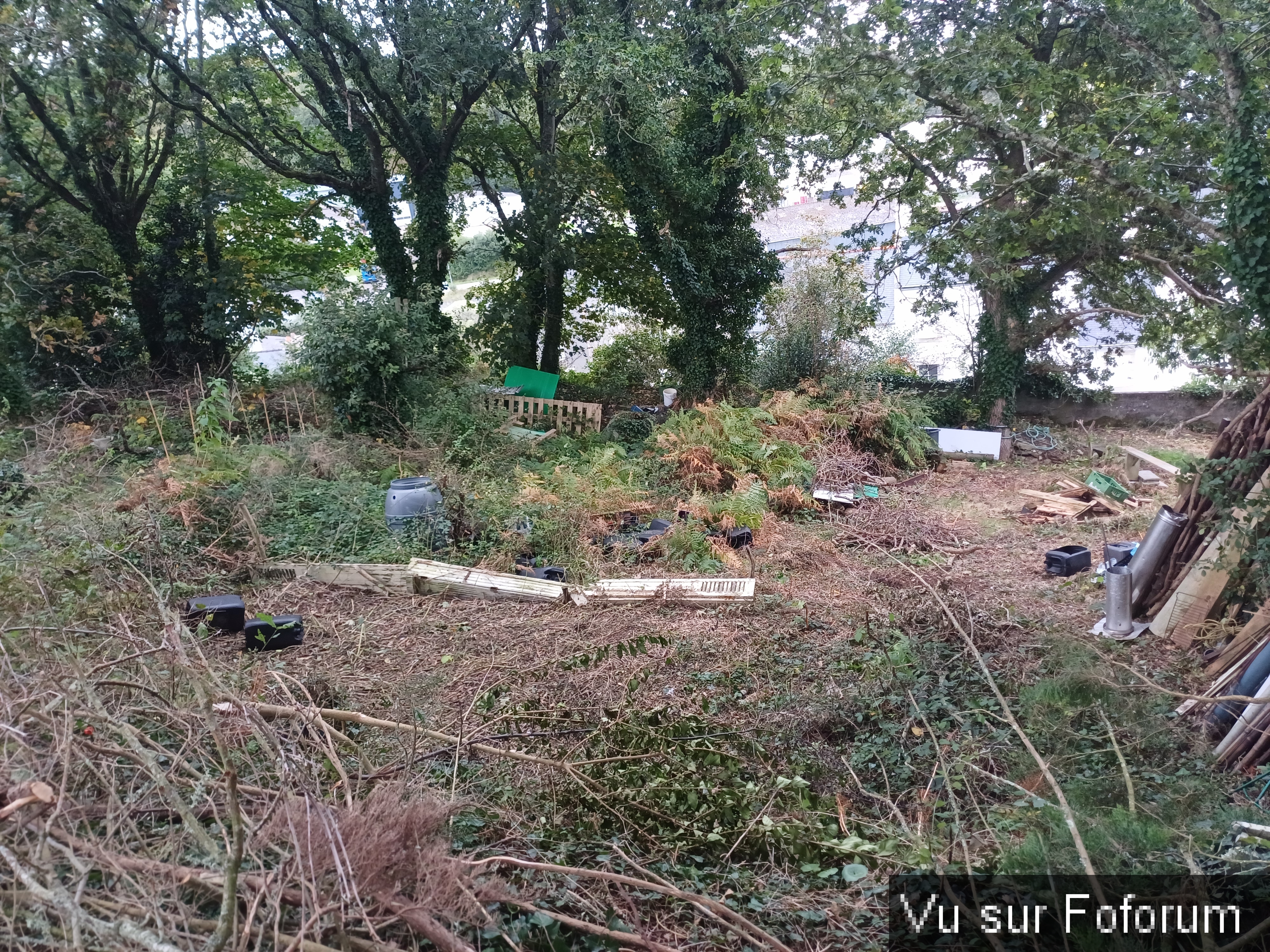 15 Potager de 250 M2