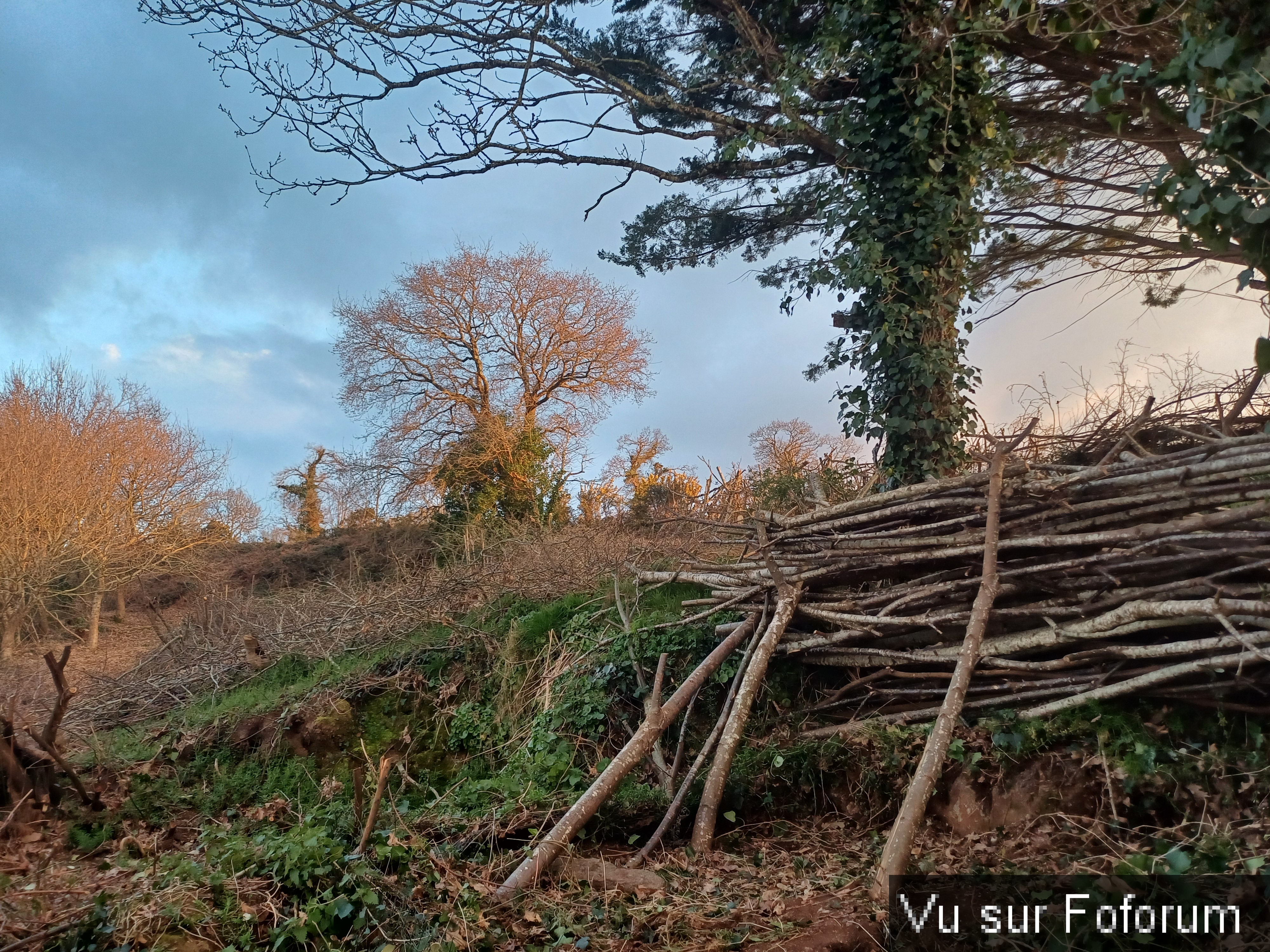 autre passage menant au verger-capitaine jack.jpg