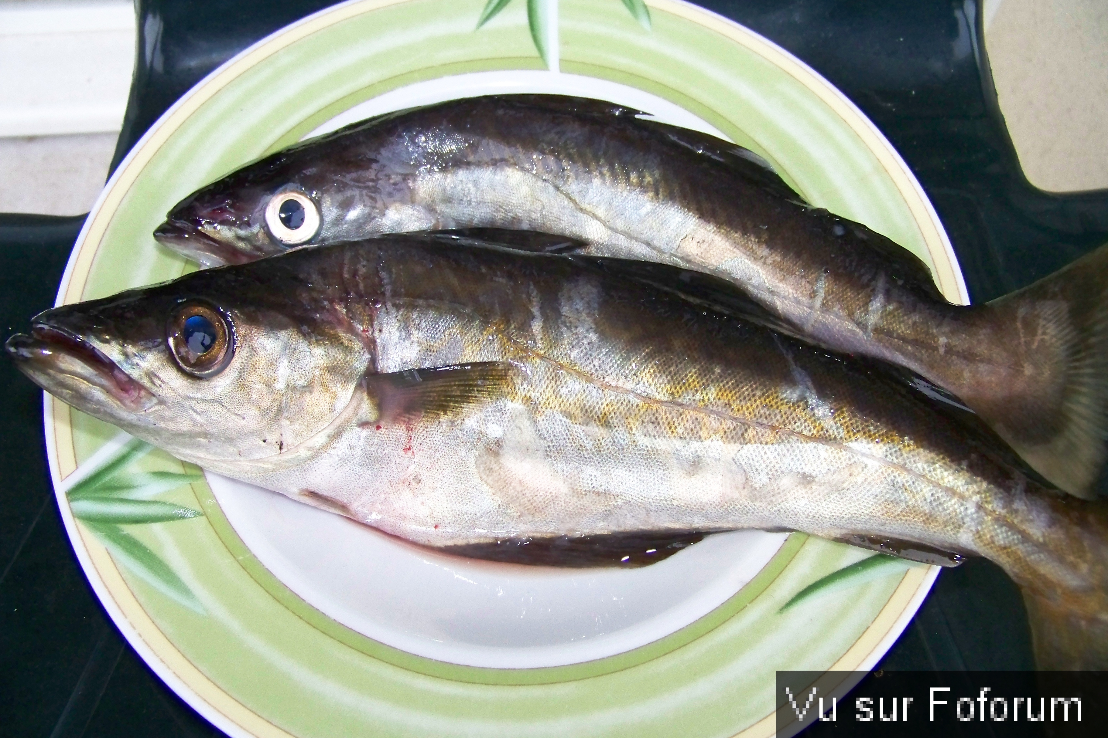 Breizh Pêche