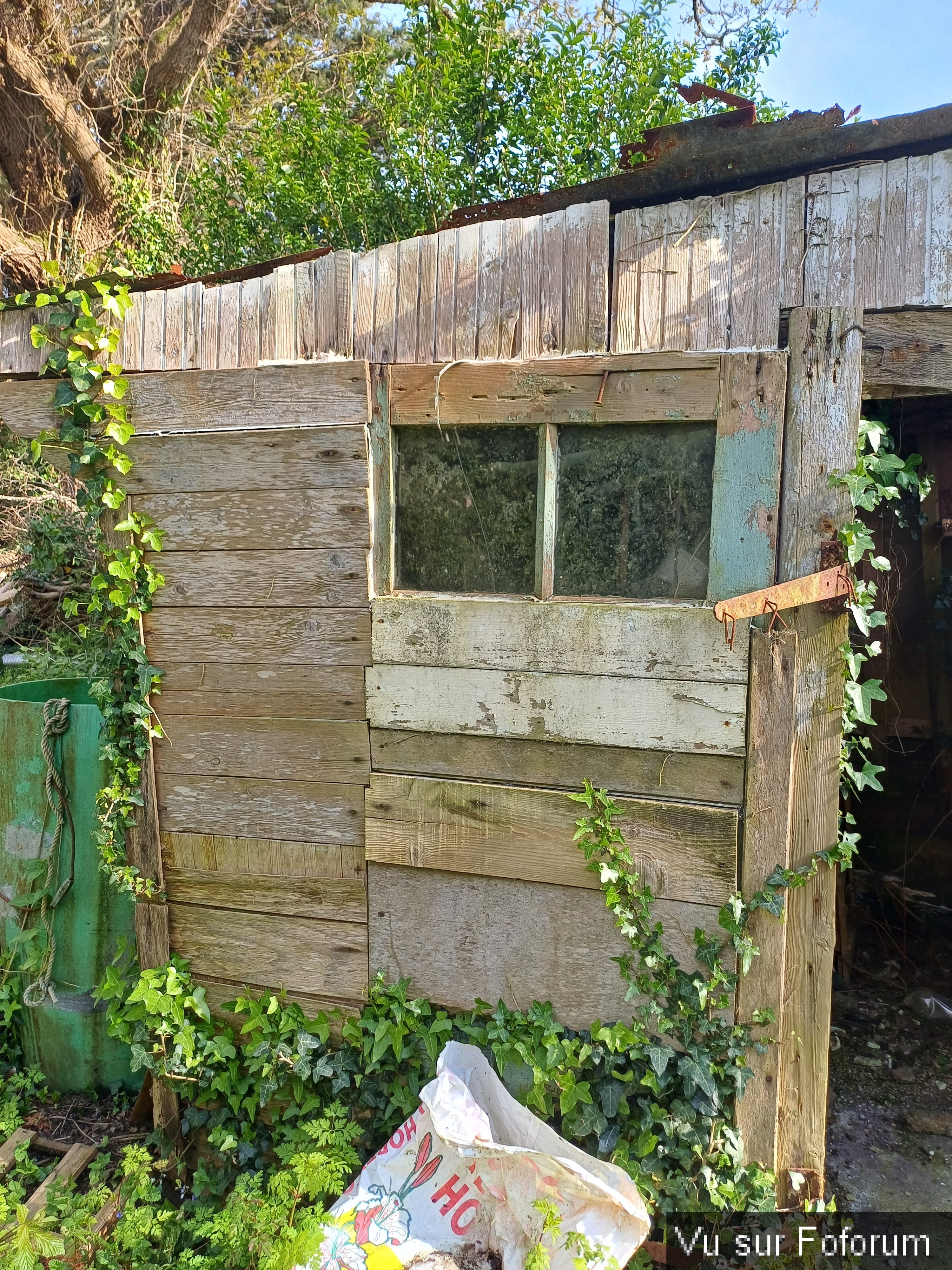 Cabanon jardin à gauche de la porte