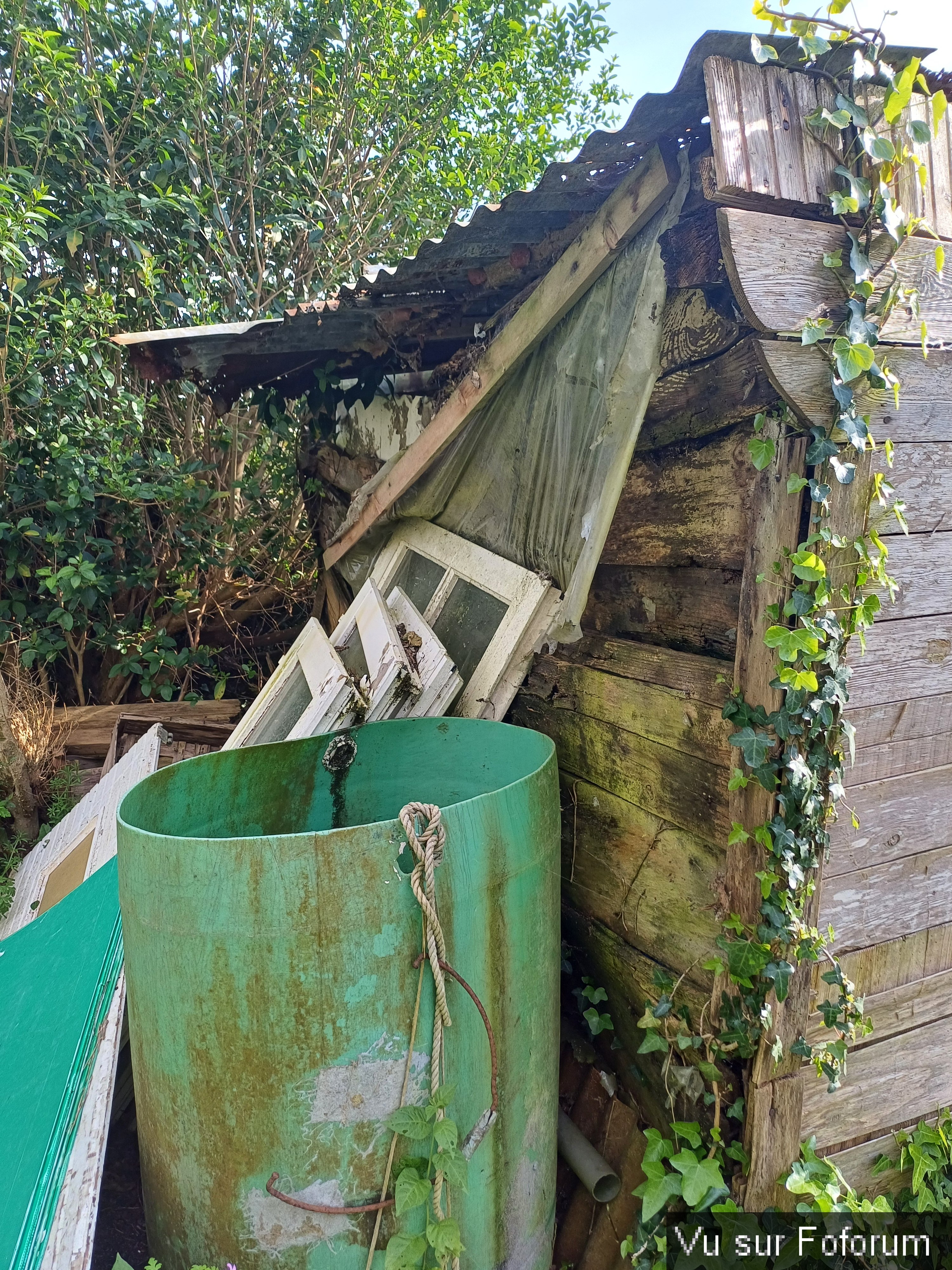 Cabanon jardin côté gauche