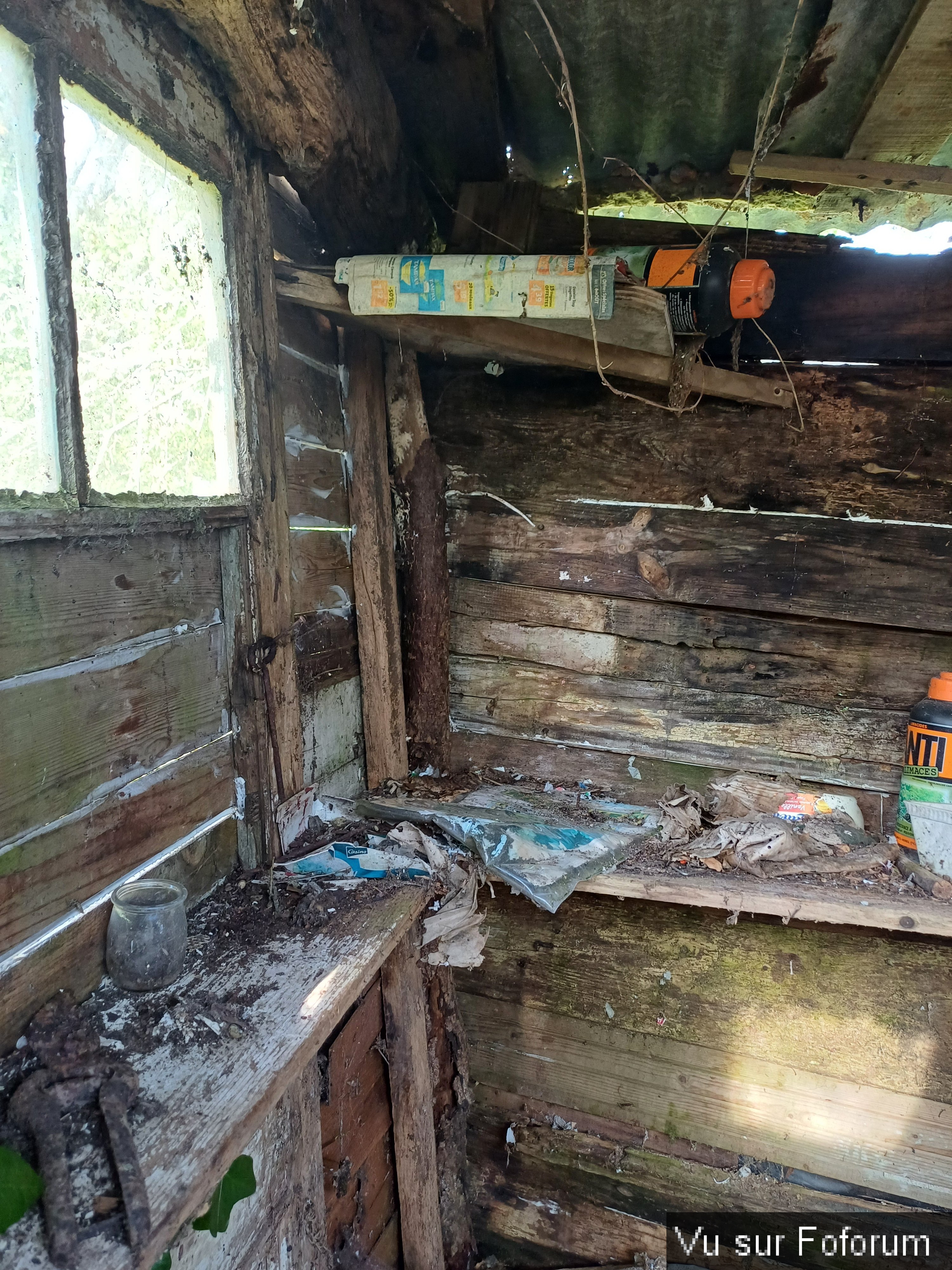 Cabanon jardin intérieur gauche