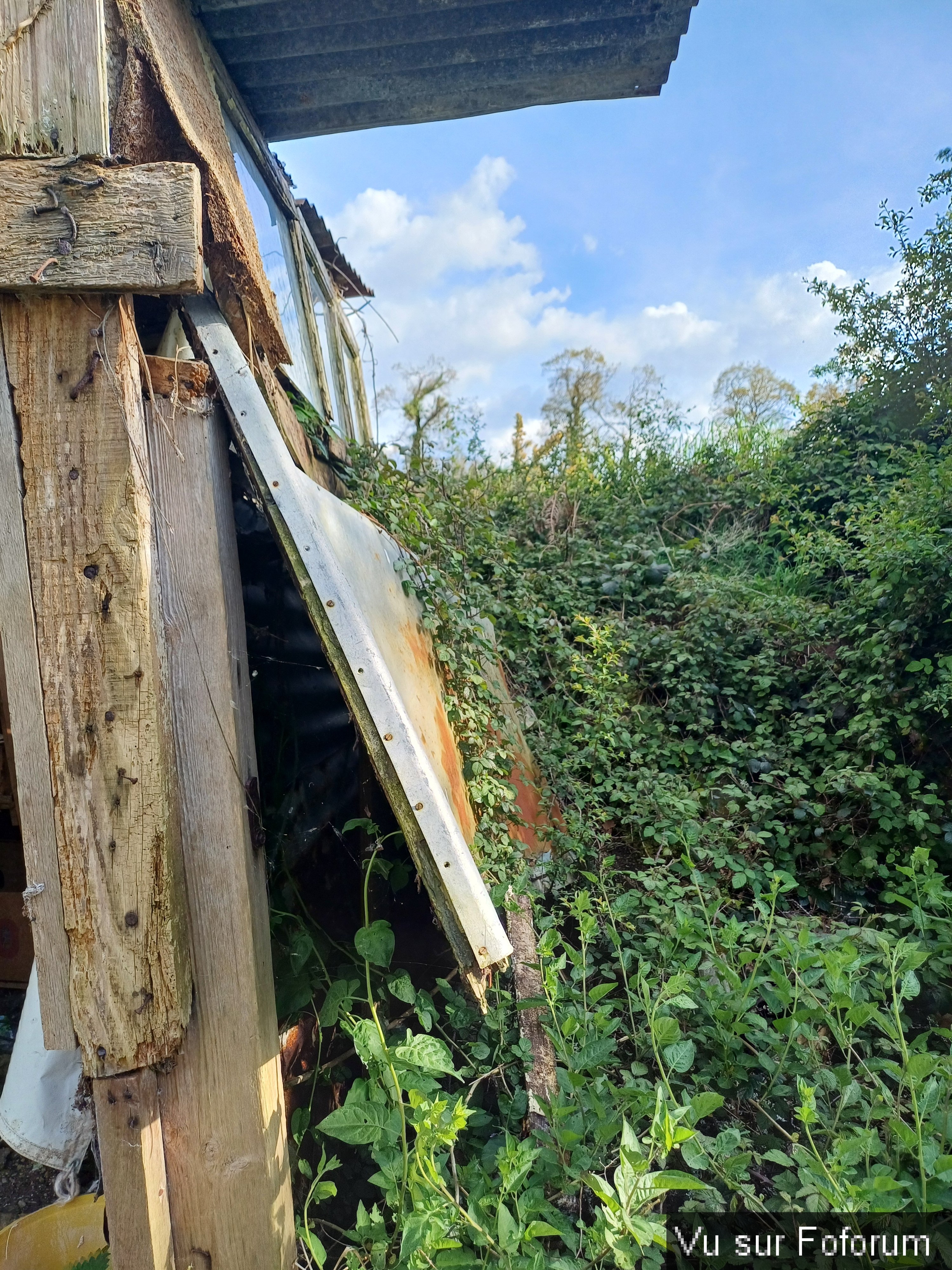 Cabanon jardin partie à reconstruire