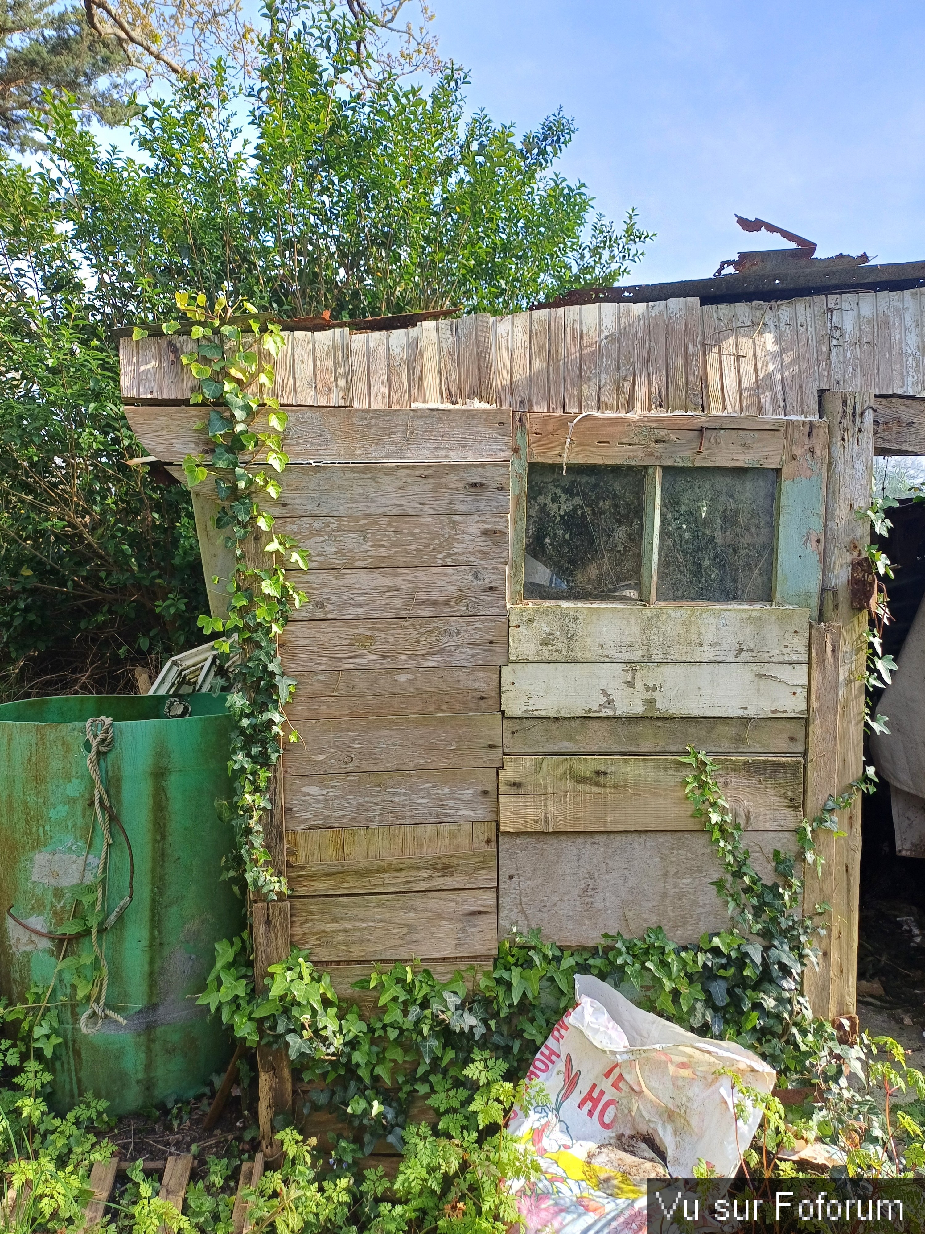 Cabanon jardin - partie gauche