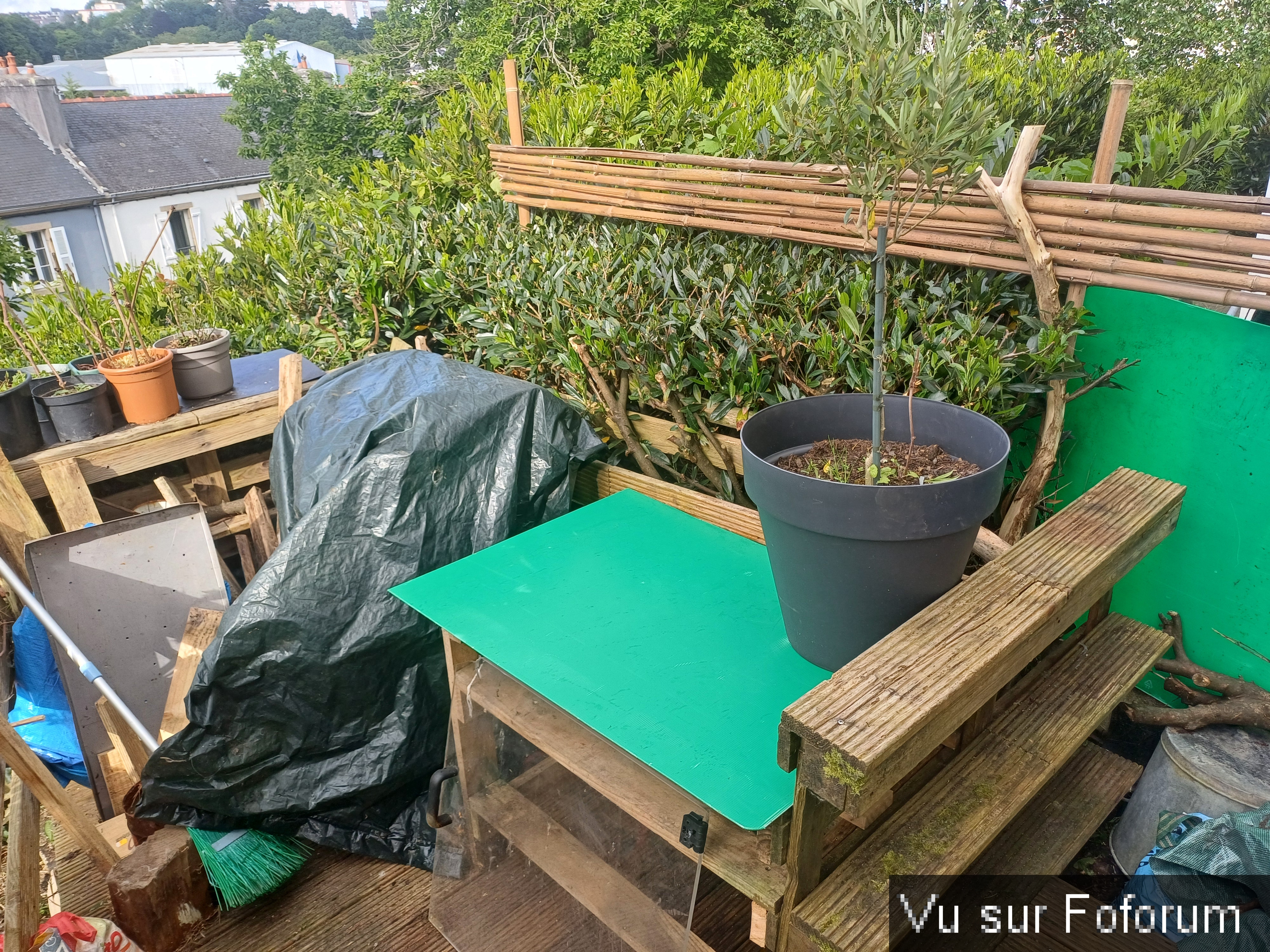 Capitaine Jack améliore le meuble pour barbecue (5).jpg