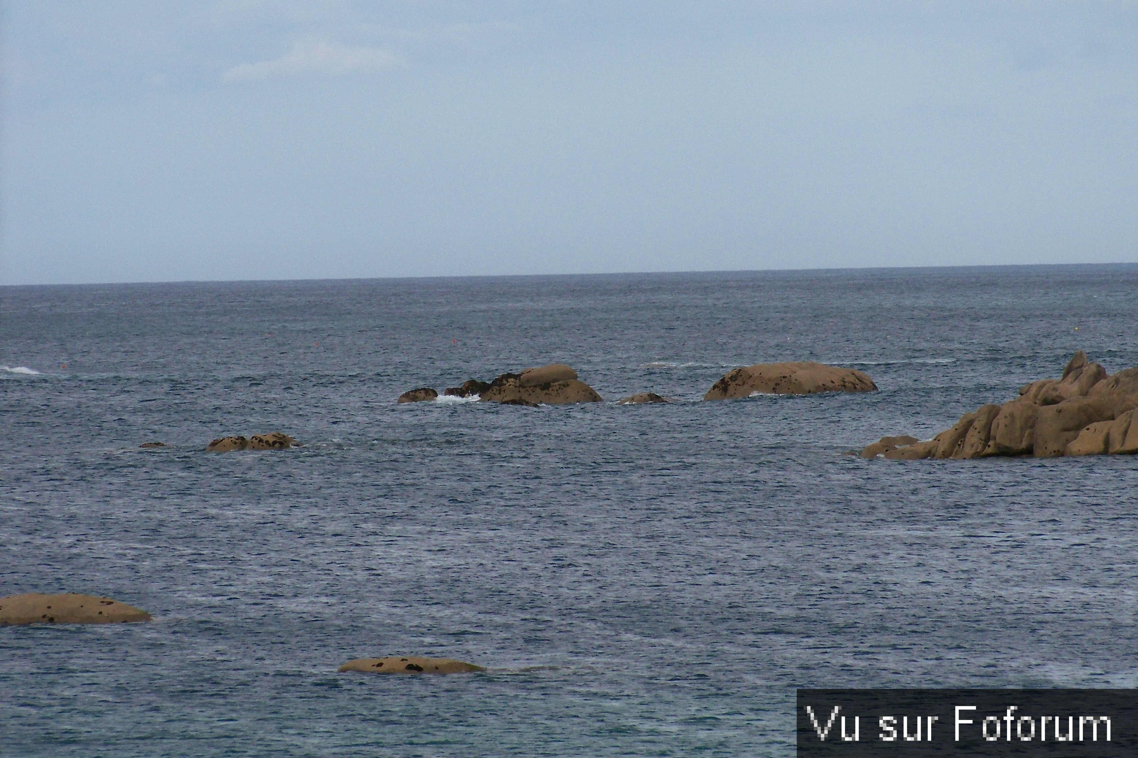 Capitaine Jack visite le port de Brignogan (39).JPG