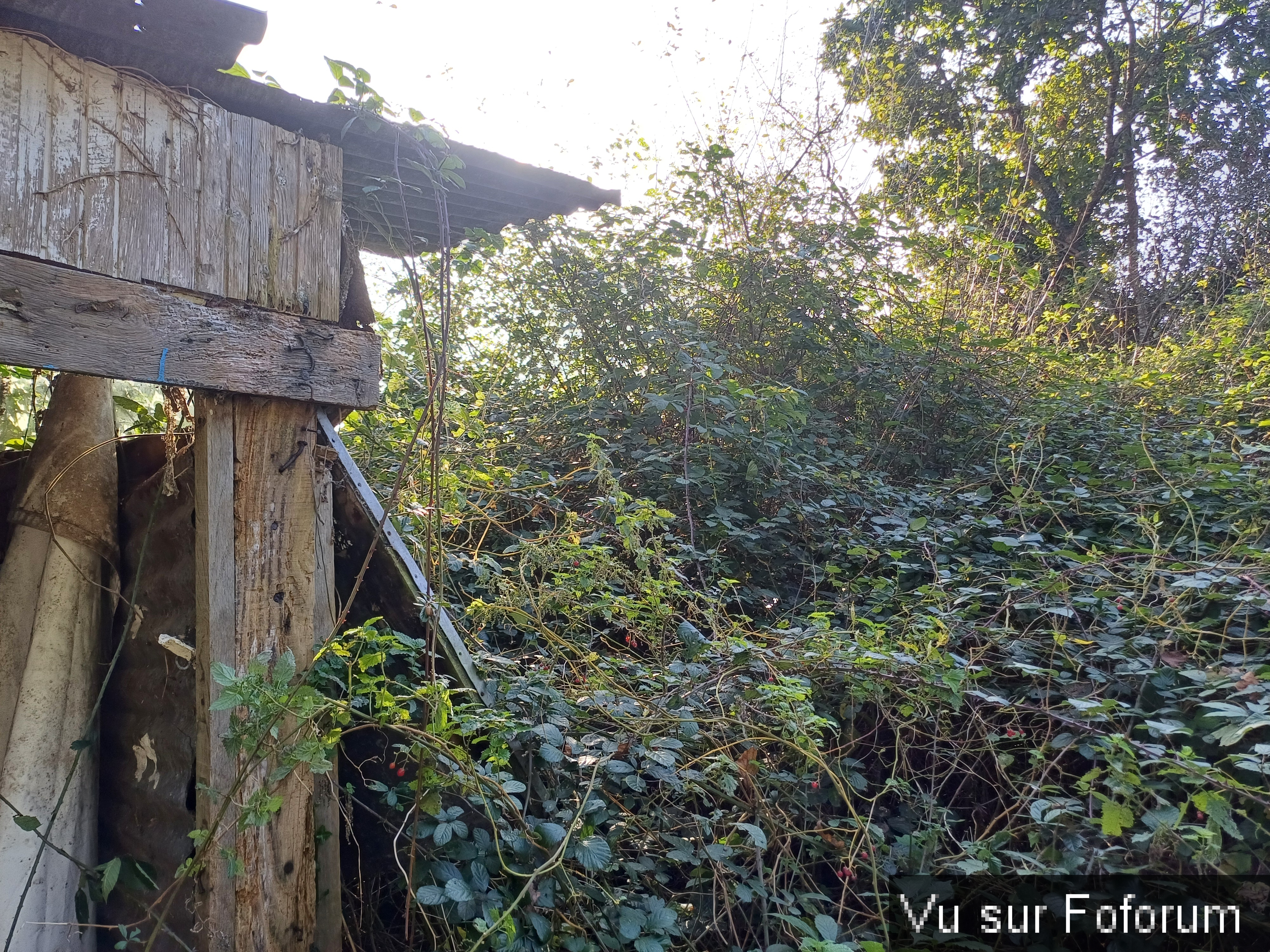 Ce cabanon donne du fil à retordre - Capitaine Jack