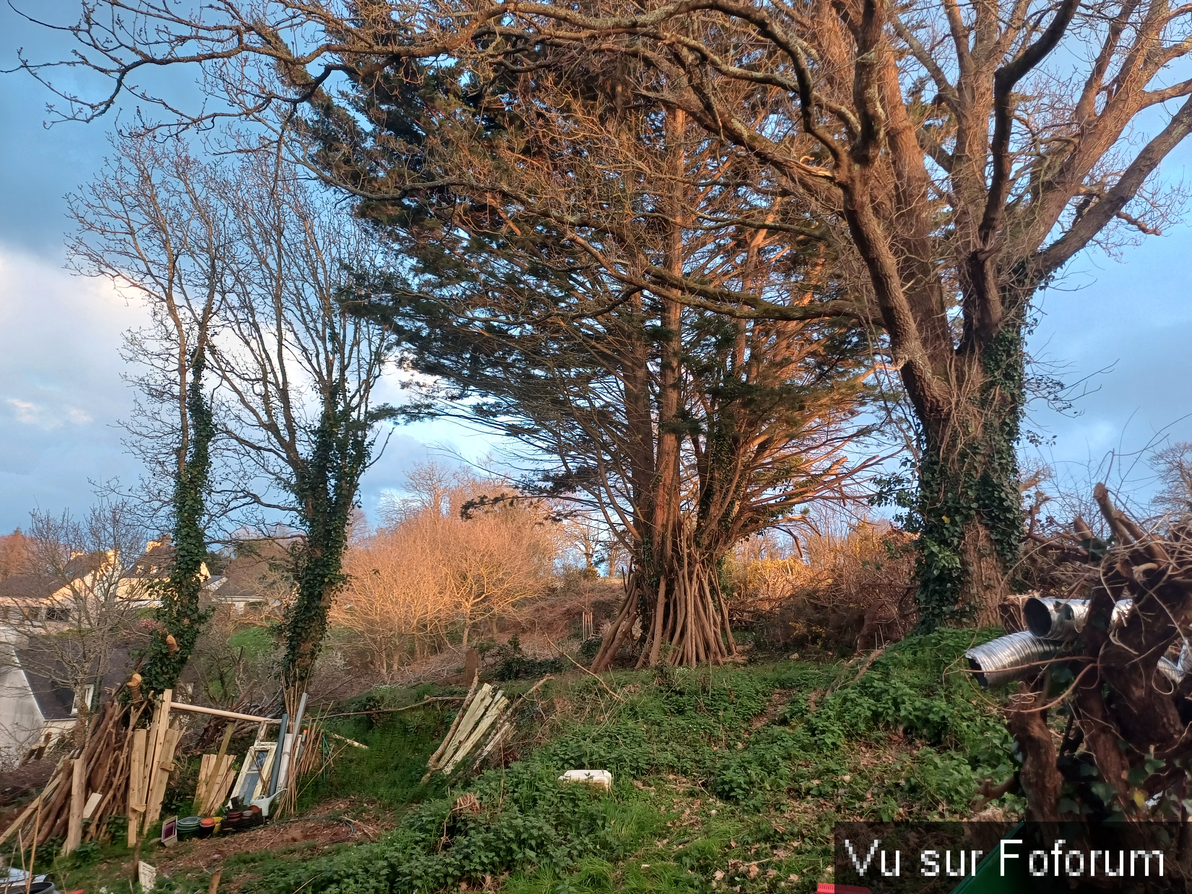 chemin menant au verger-capitaine jack.jpg