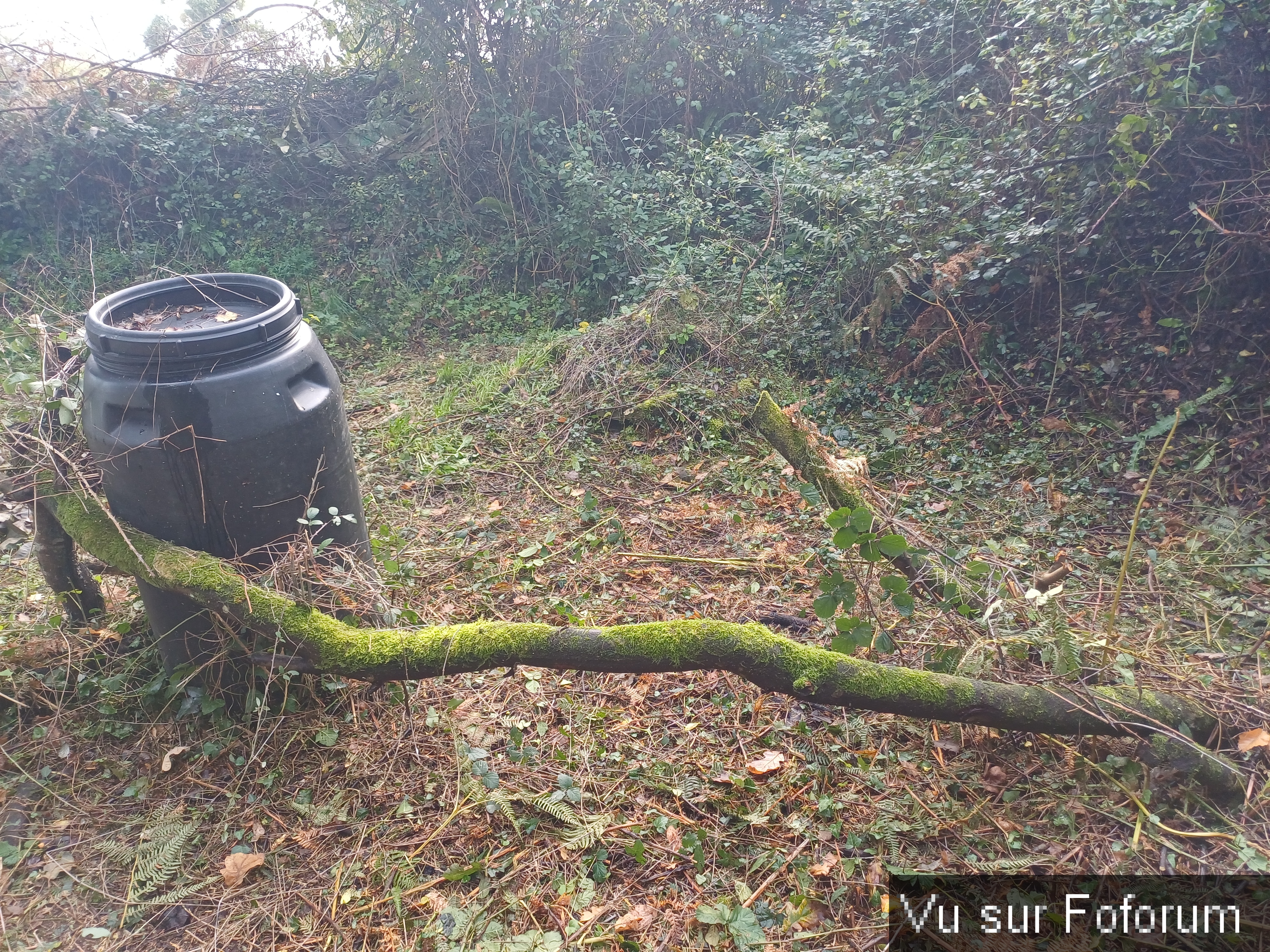 Emplacement d'une serre à voir - Capitaine Jack.jpg
