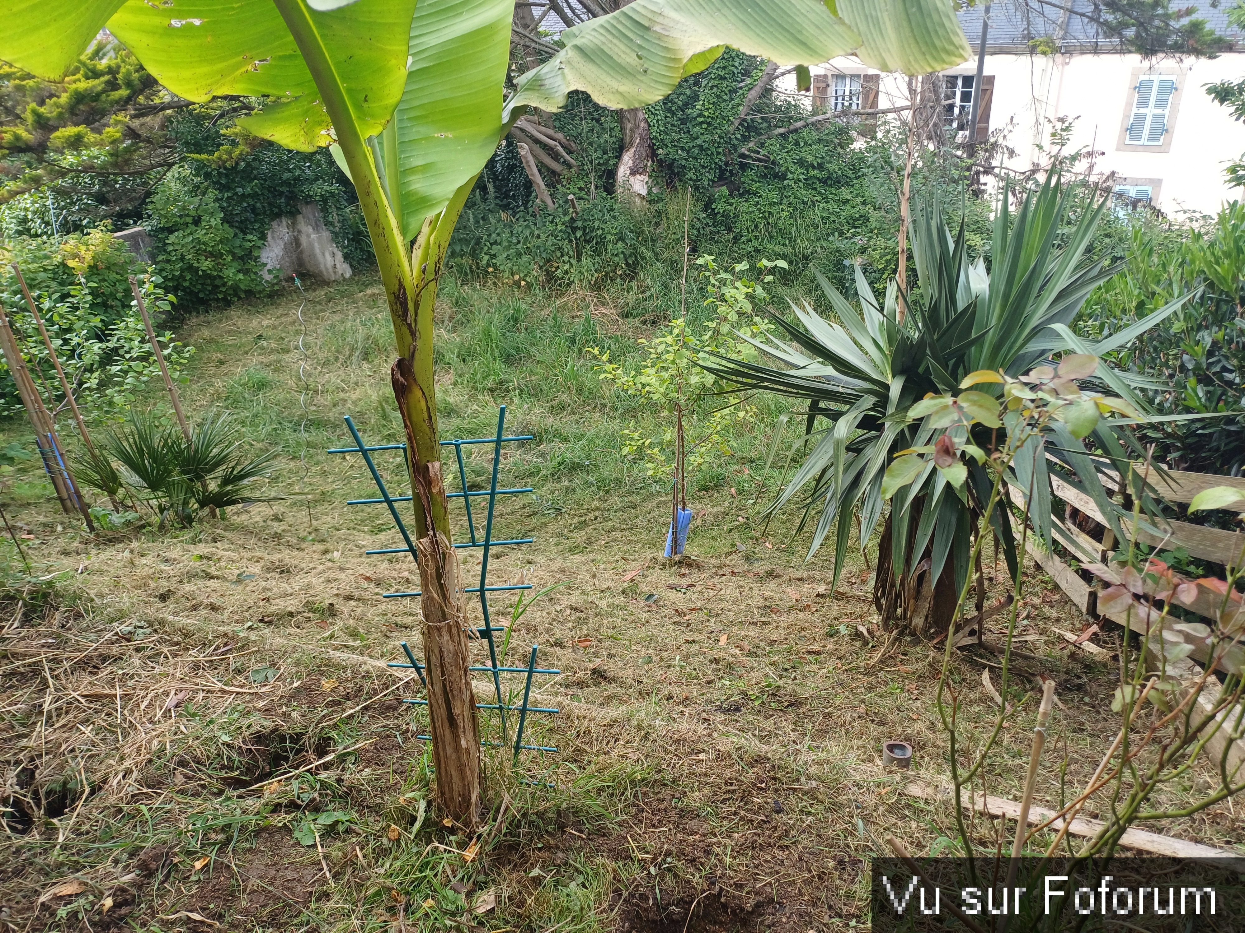 jardin breton capitaine jack (13).jpg