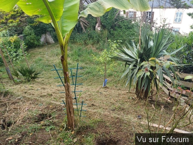 jardin breton capitaine jack (13).jpg