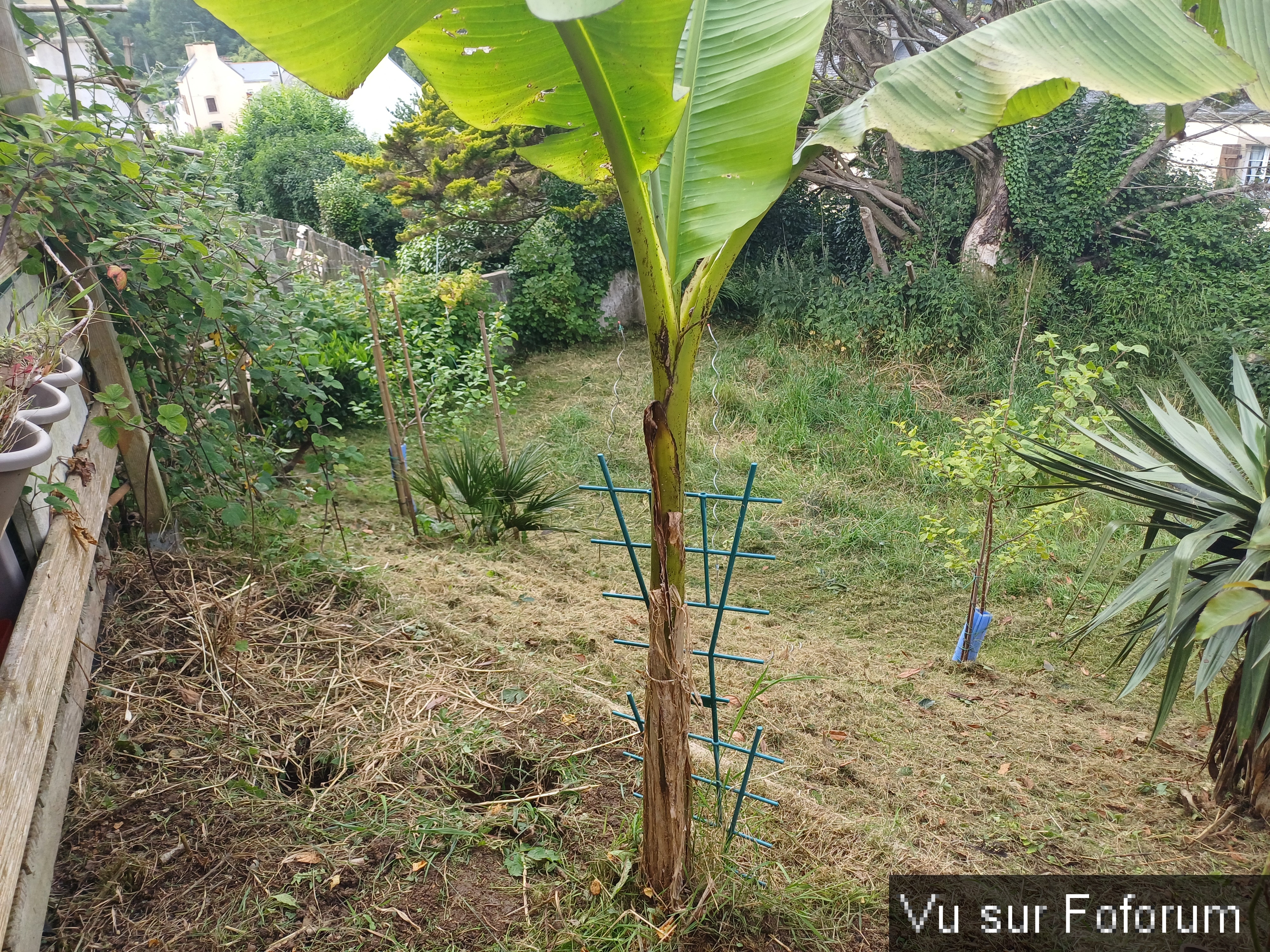 jardin breton capitaine jack (14).jpg