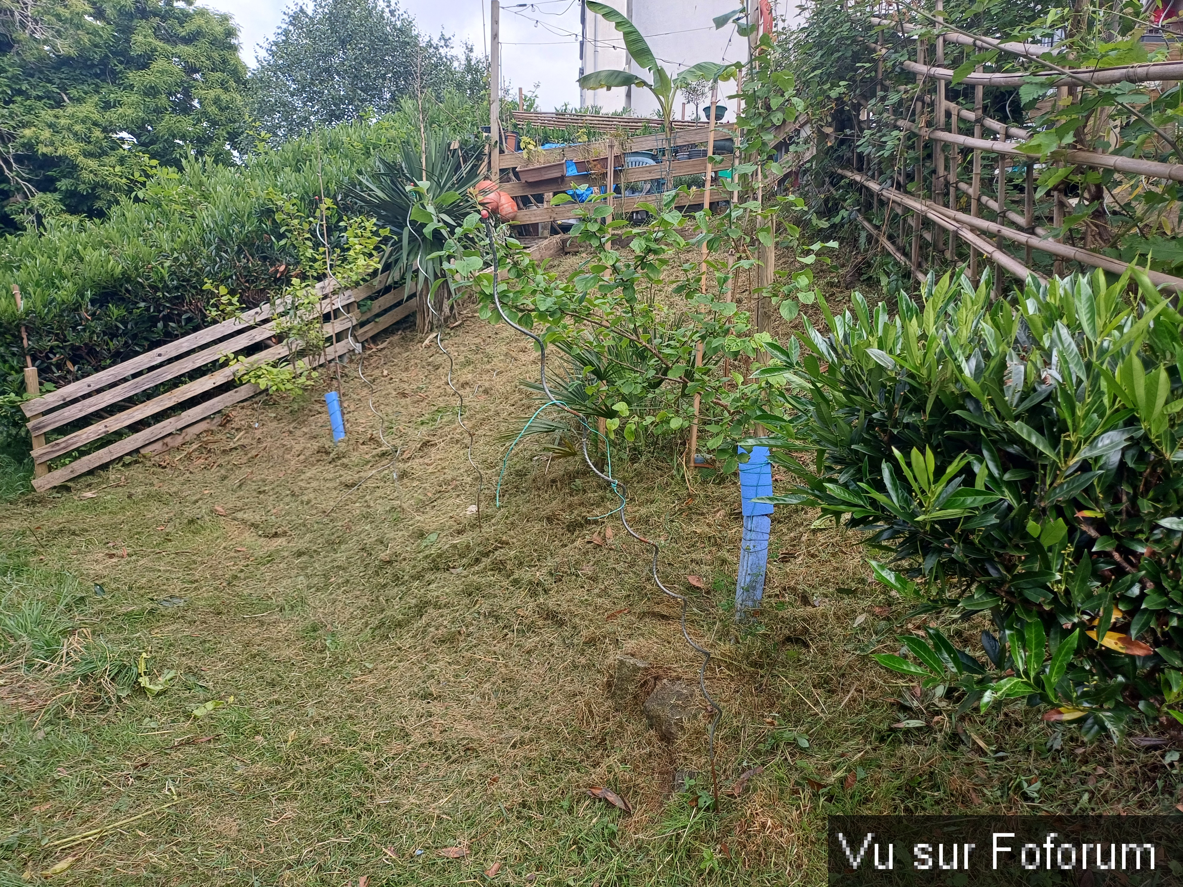 jardin breton capitaine jack (15).jpg