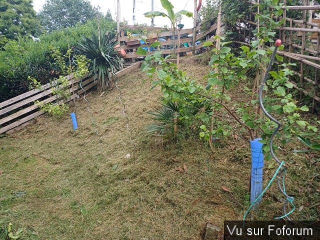 jardin breton capitaine jack (16).jpg