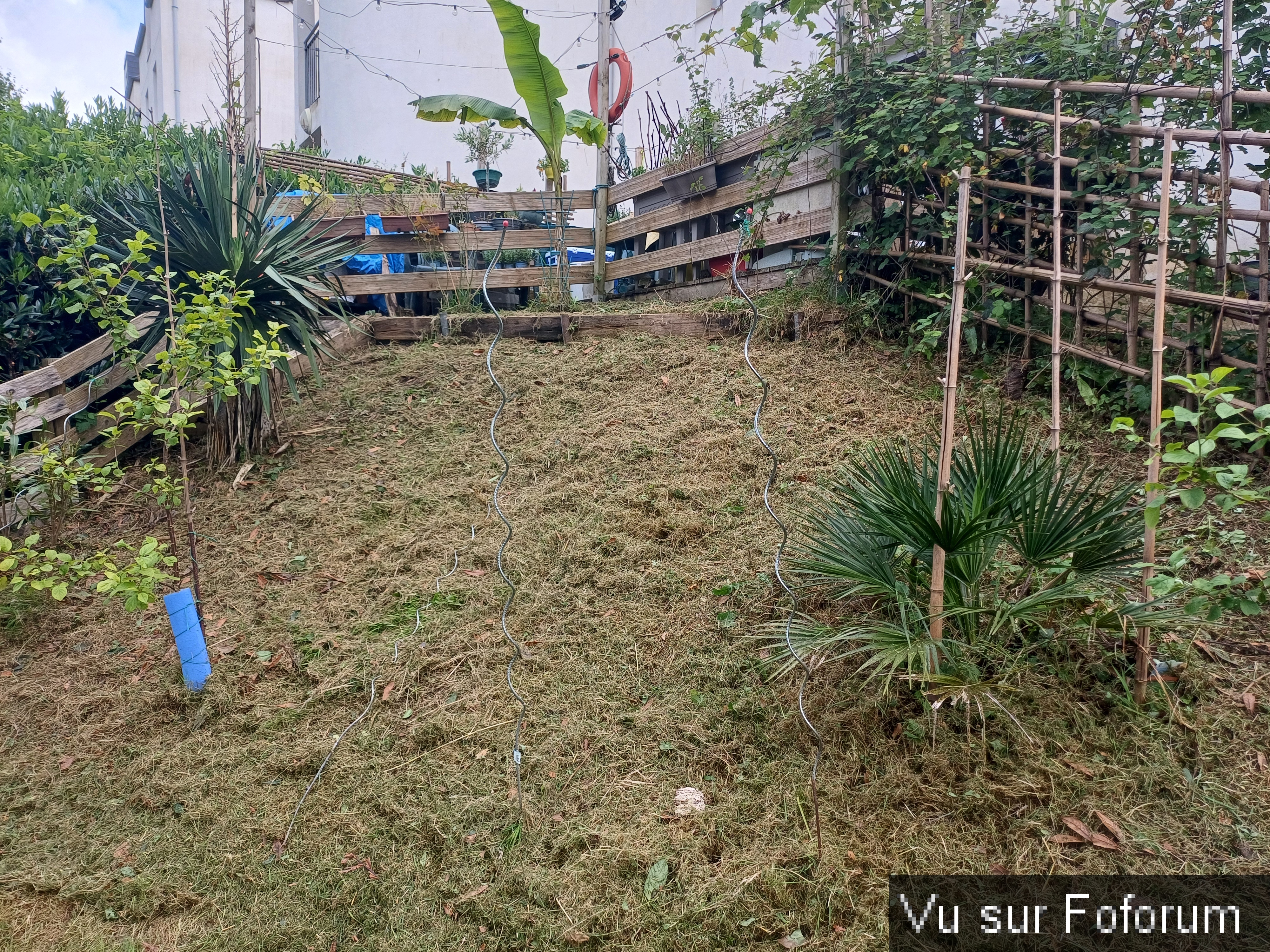 jardin breton capitaine jack (17).jpg