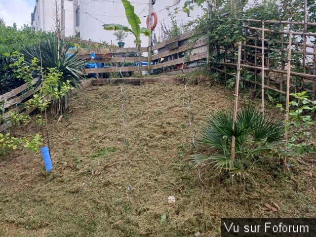 jardin breton capitaine jack (17).jpg