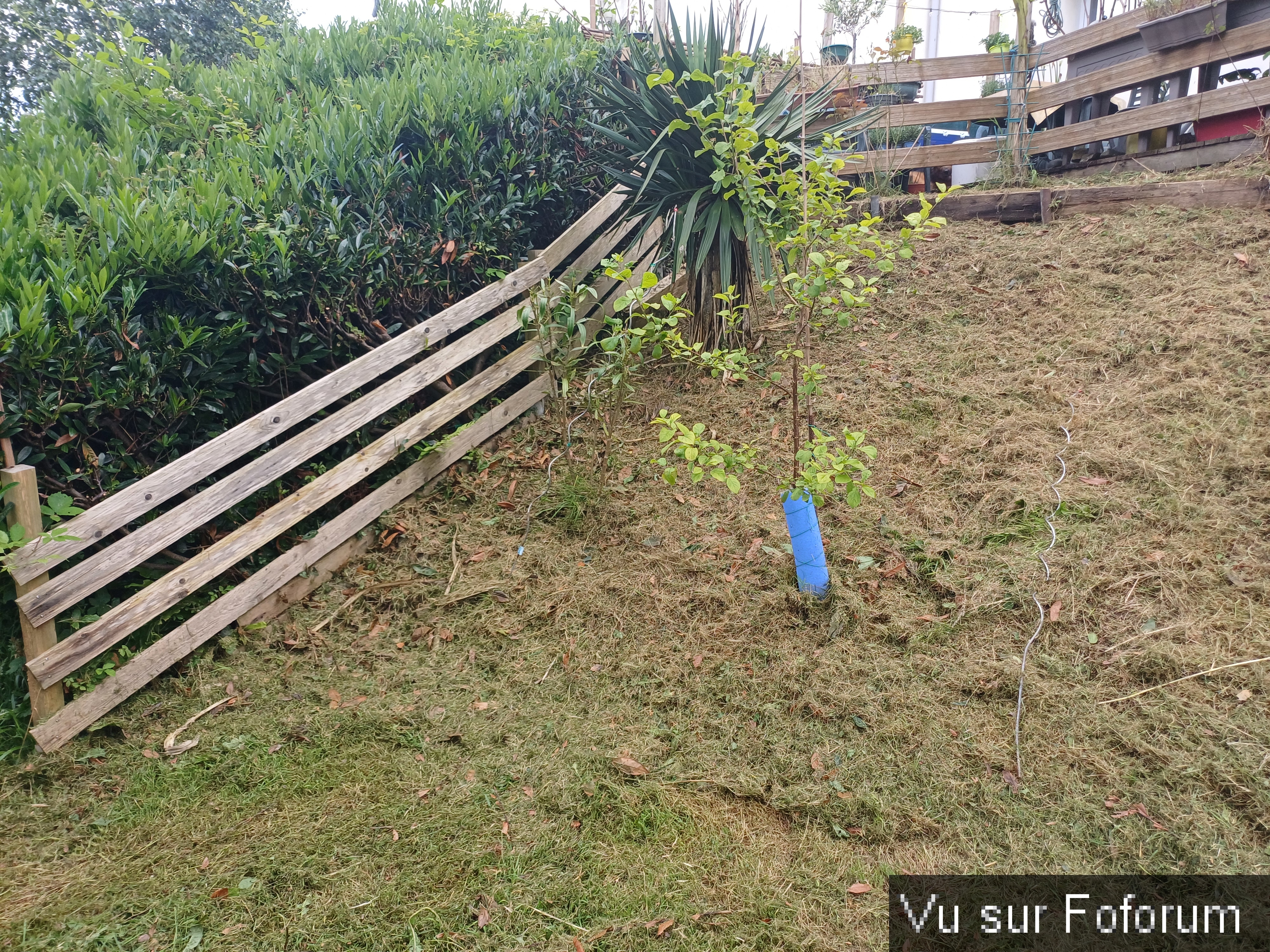 jardin breton capitaine jack (18).jpg