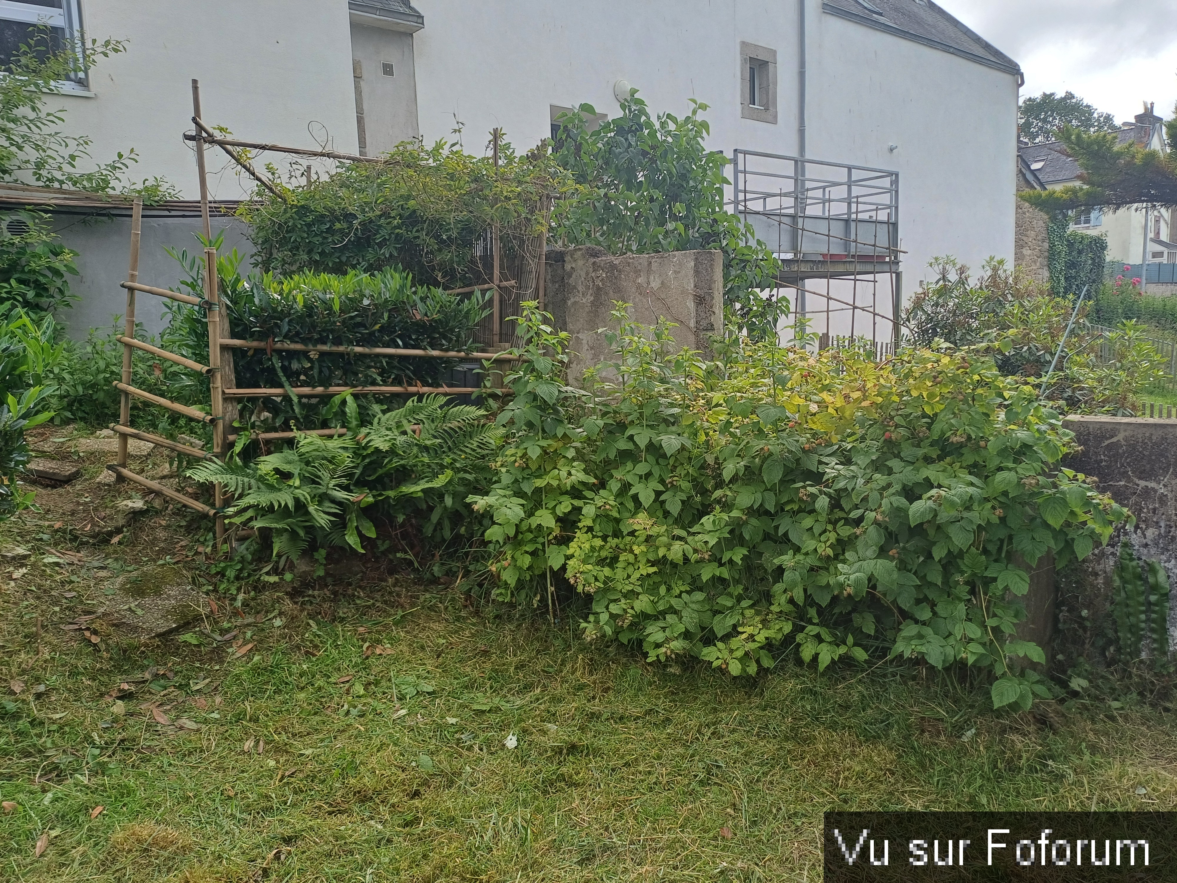 jardin breton capitaine jack (19).jpg