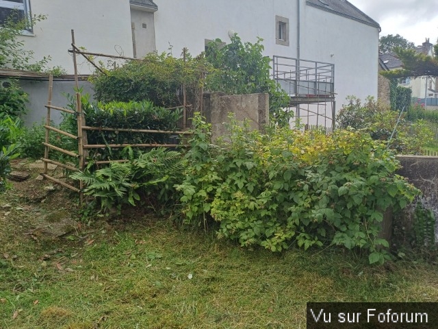 jardin breton capitaine jack (19).jpg