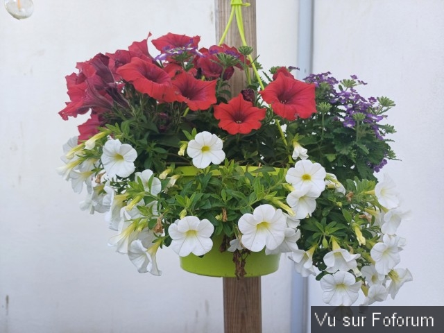 jardin breton capitaine jack (26).jpg