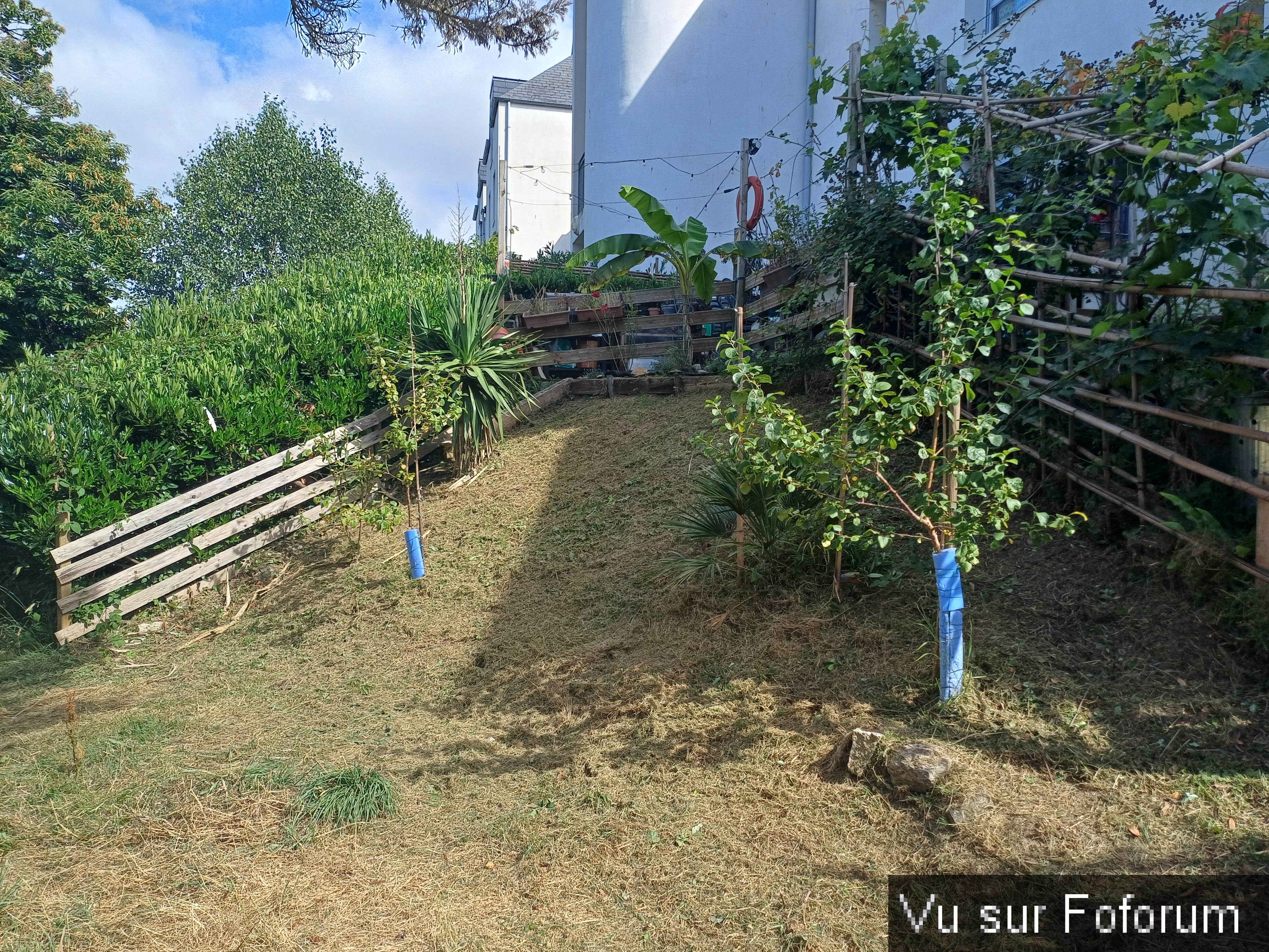 jardin breton capitaine jack (33).jpg