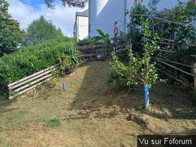 jardin breton capitaine jack (33).jpg