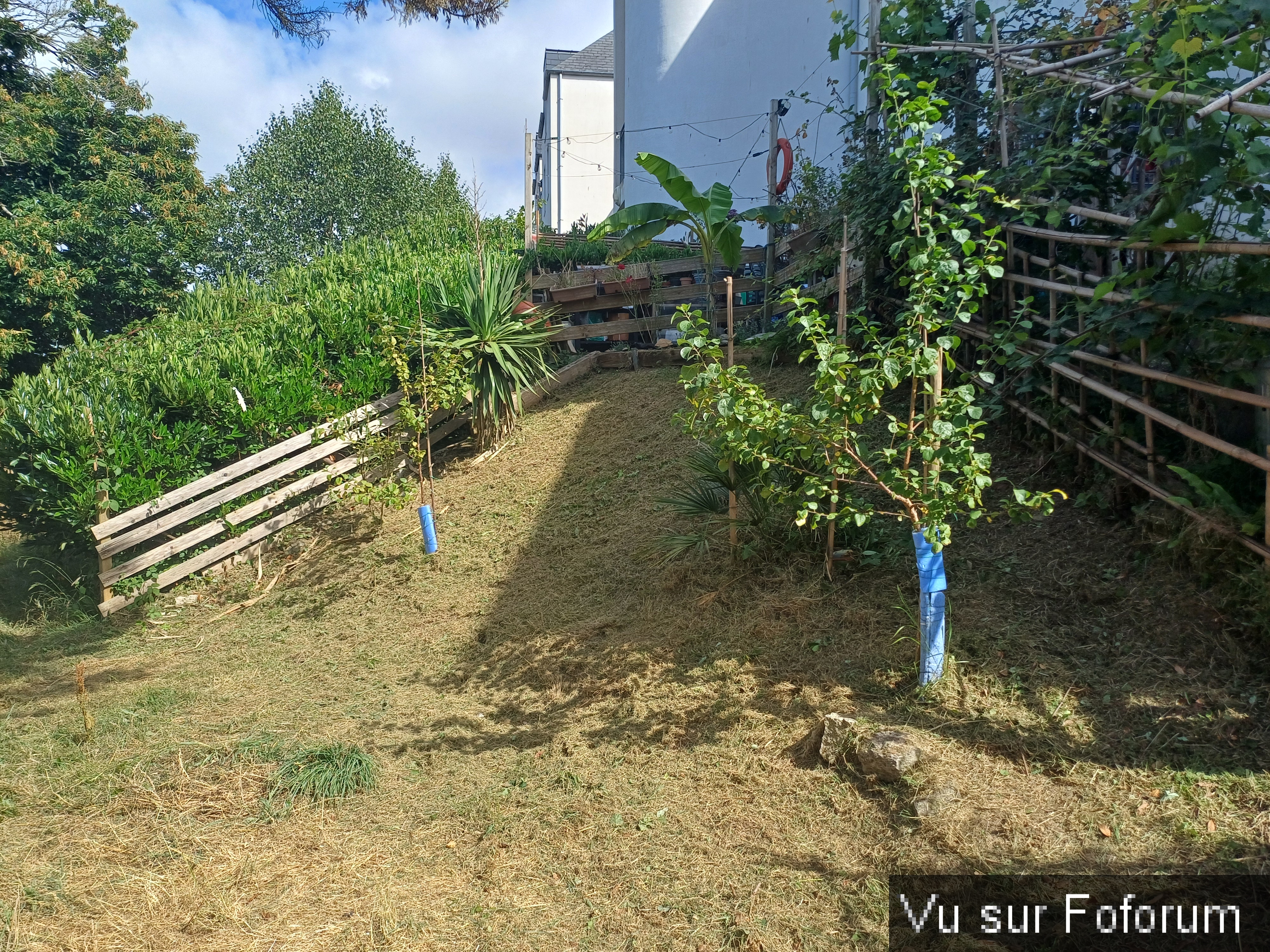 jardin breton capitaine jack (34).jpg