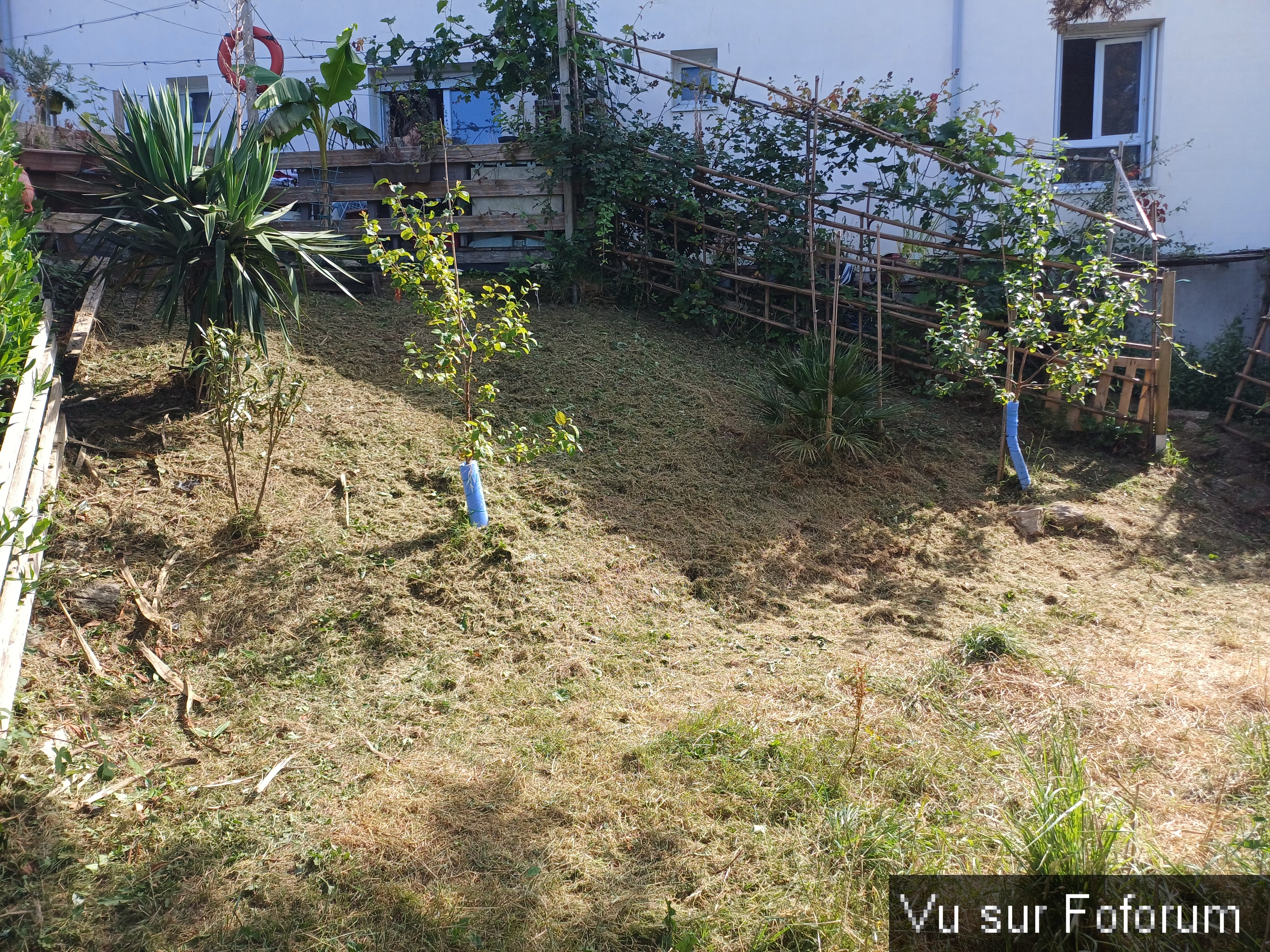 jardin breton capitaine jack (35).jpg