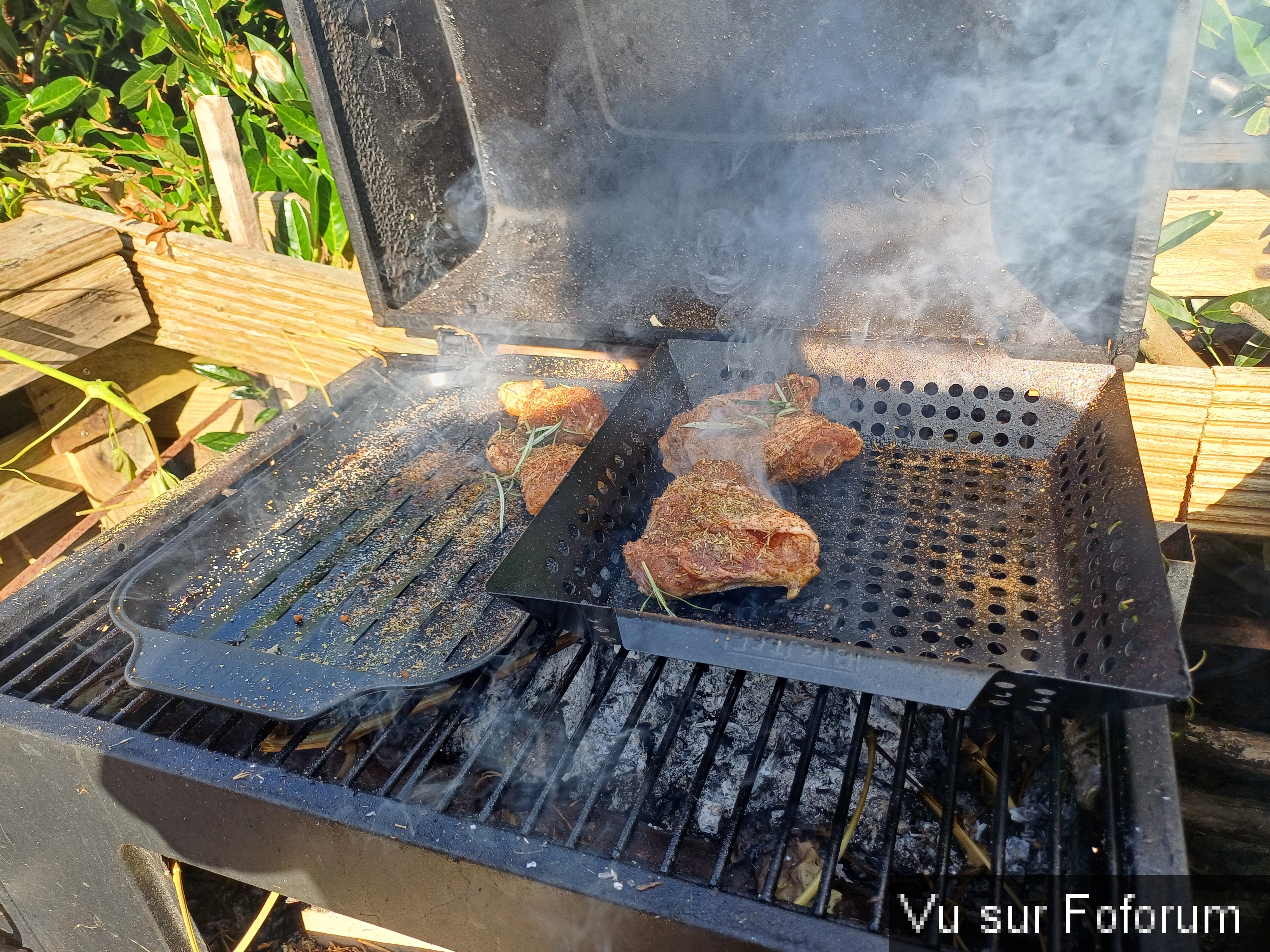 jardin breton capitaine jack (36).jpg