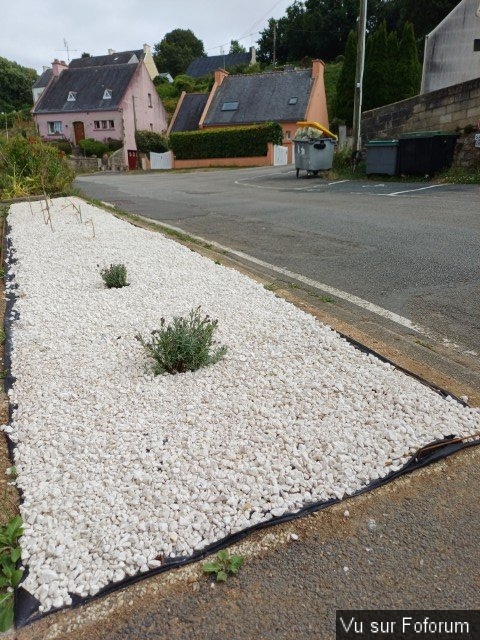 jardin breton capitaine jack (38).jpg