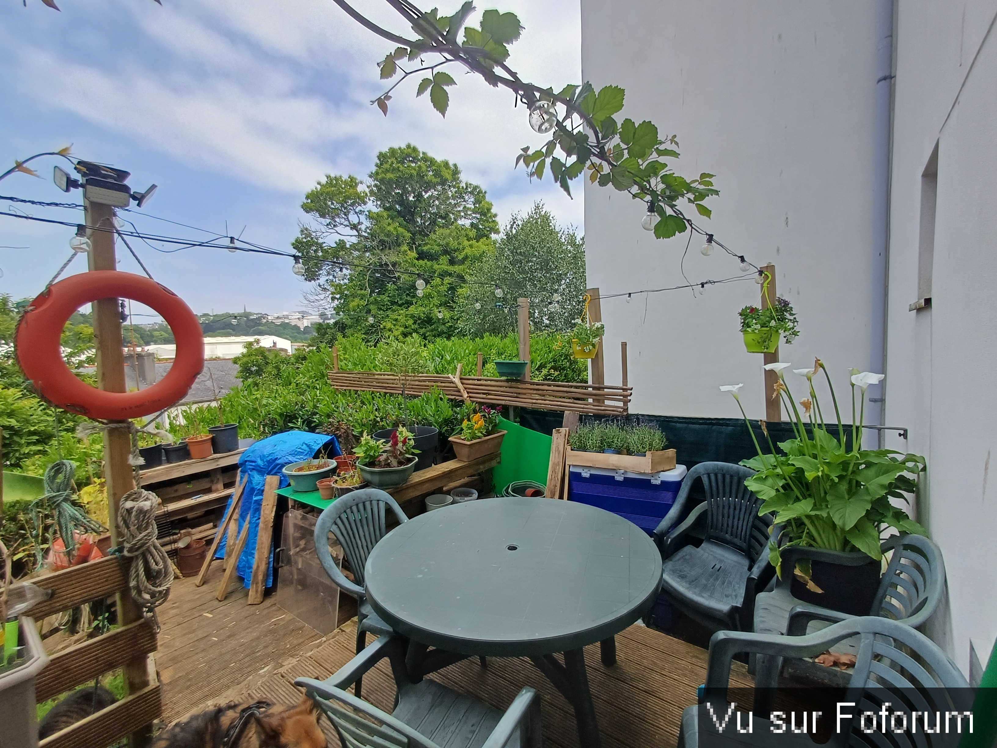 jardin breton capitaine jack (46).jpg