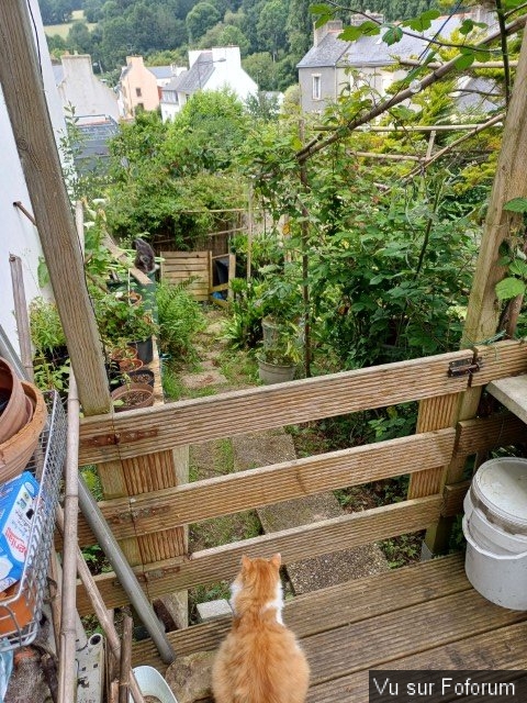 jardin breton capitaine jack (47).jpg