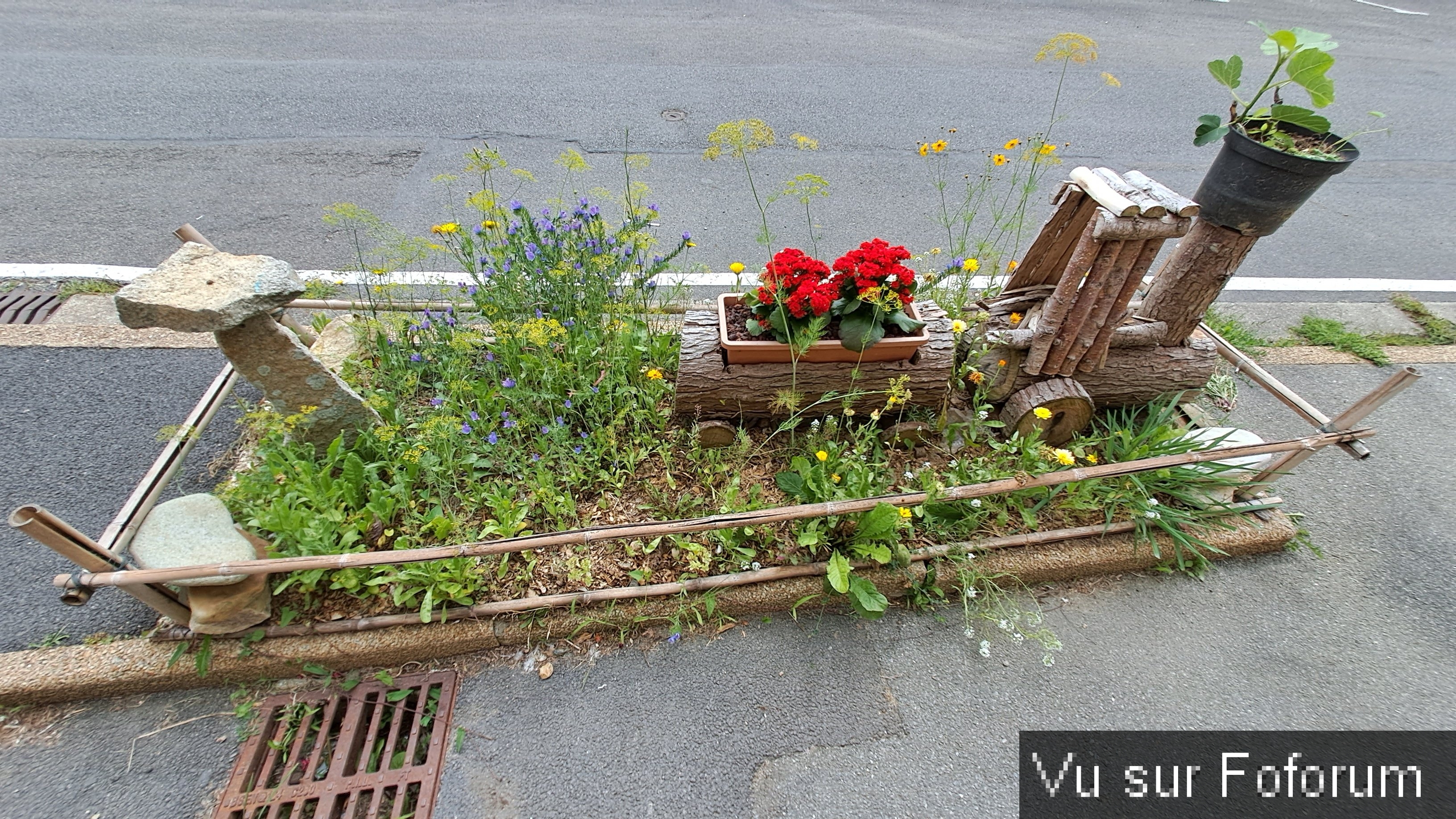 Jardin du bas - Capitaine Jack