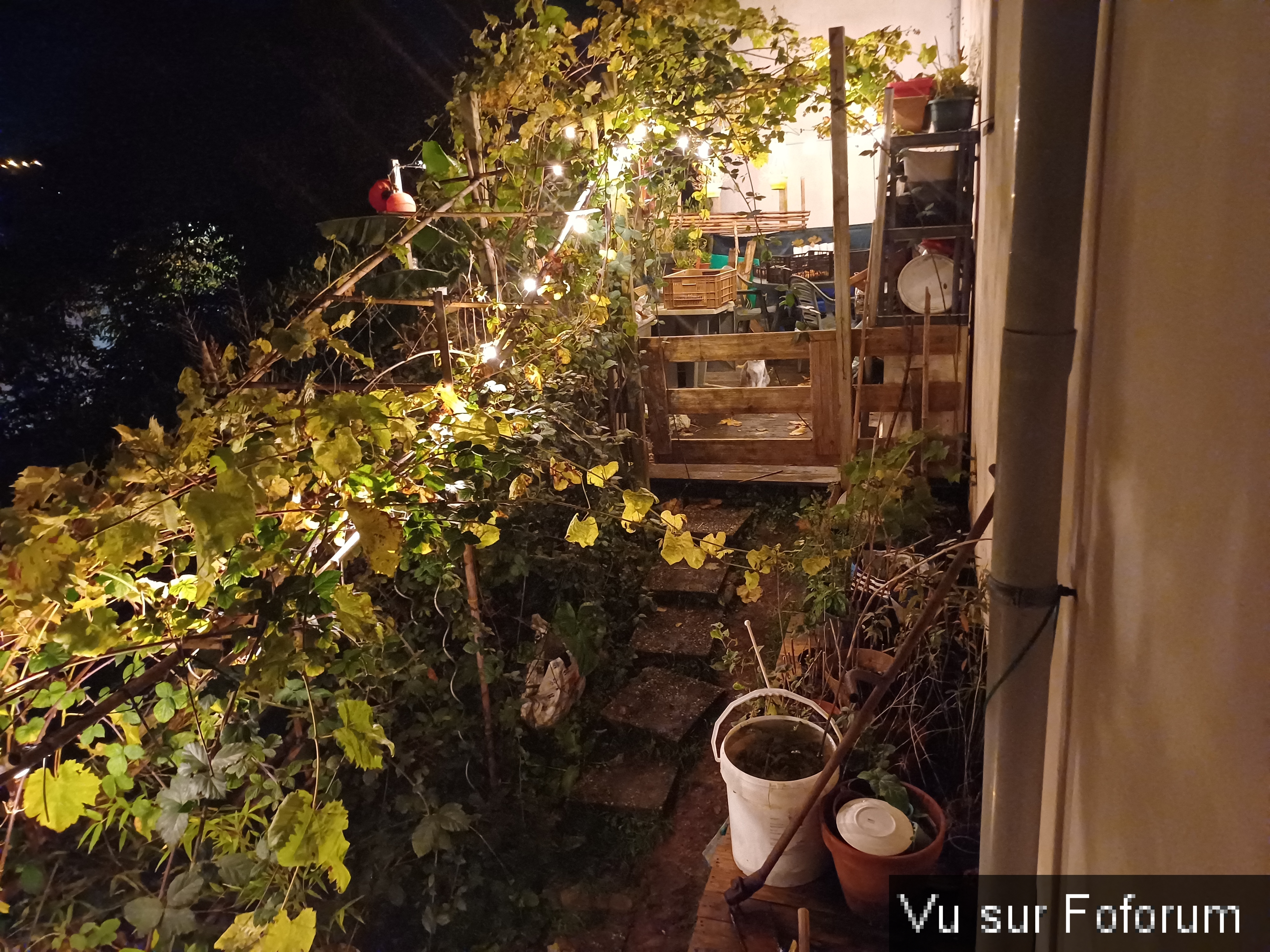 la montee du jardin de capitaine jack.jpg