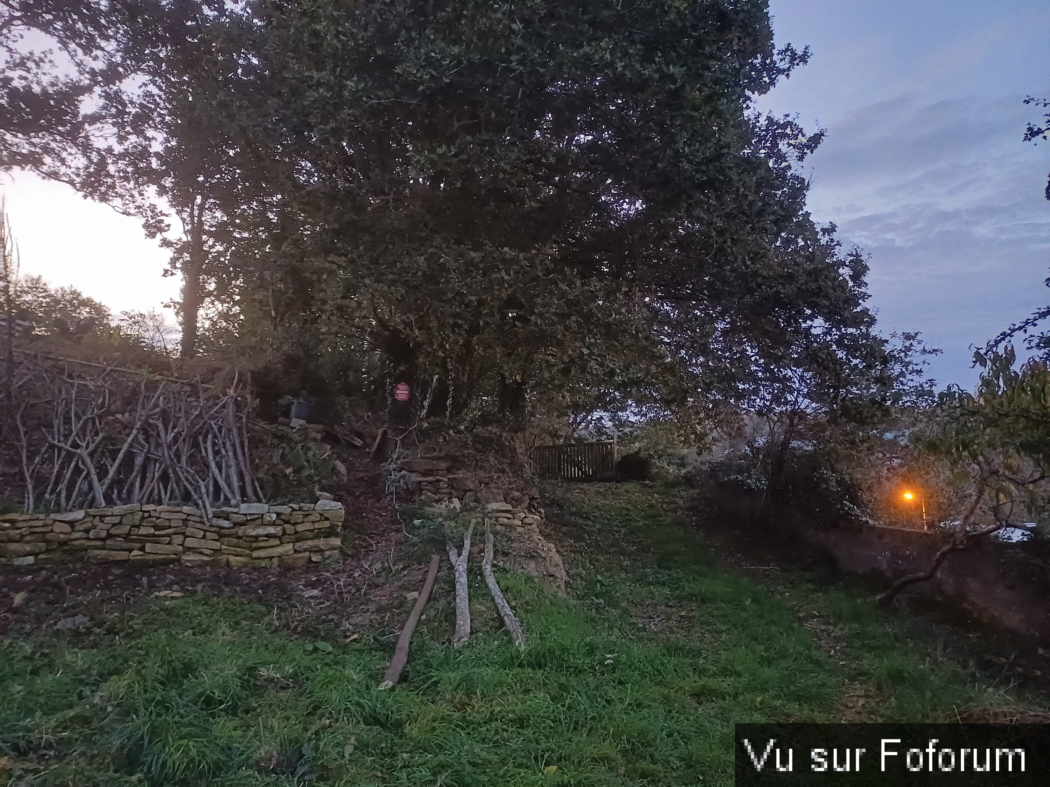 L'entrée du terrain - Capitaine Jack