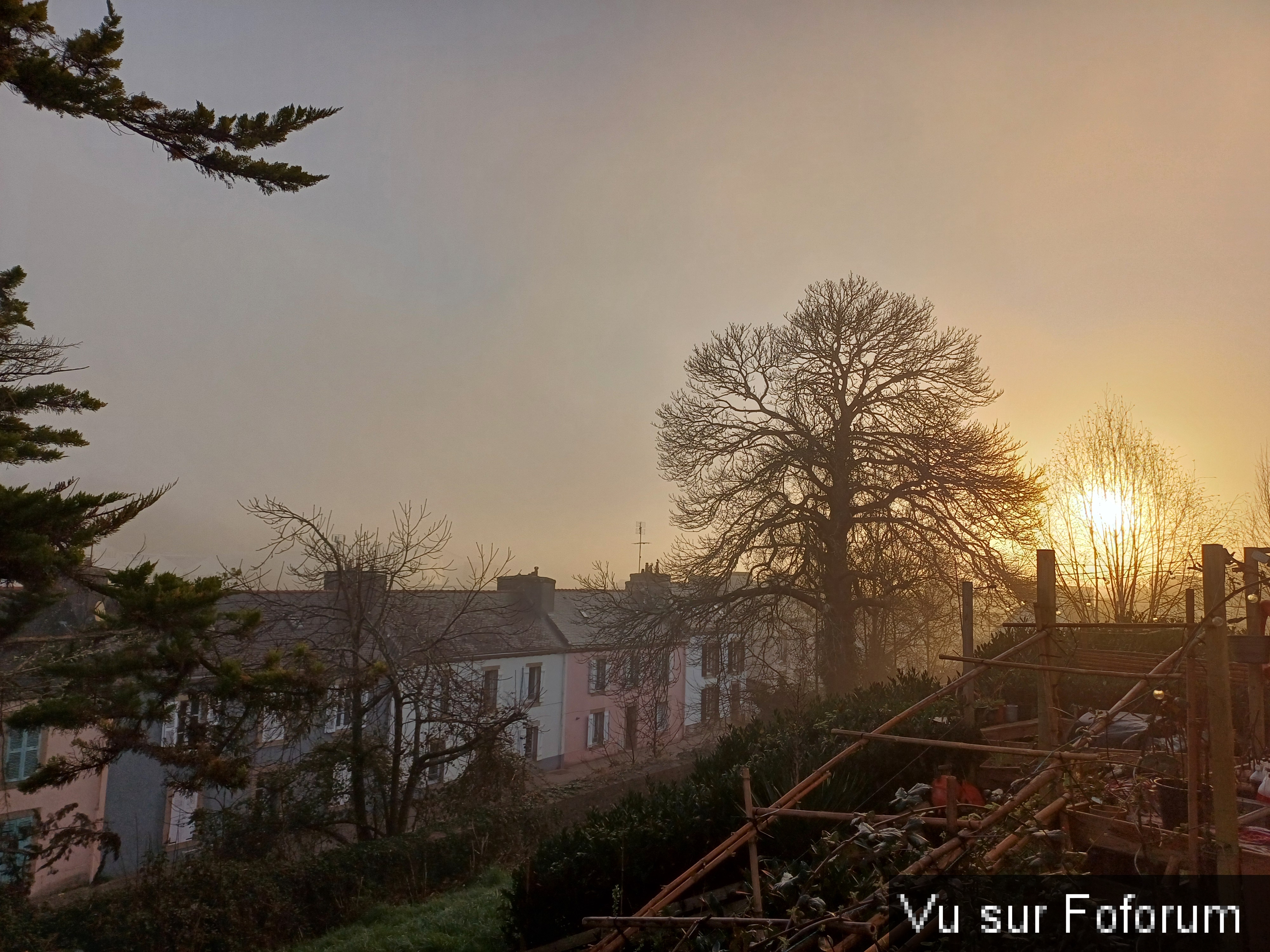 lever du jour terrain du bas - Capitaine Jack