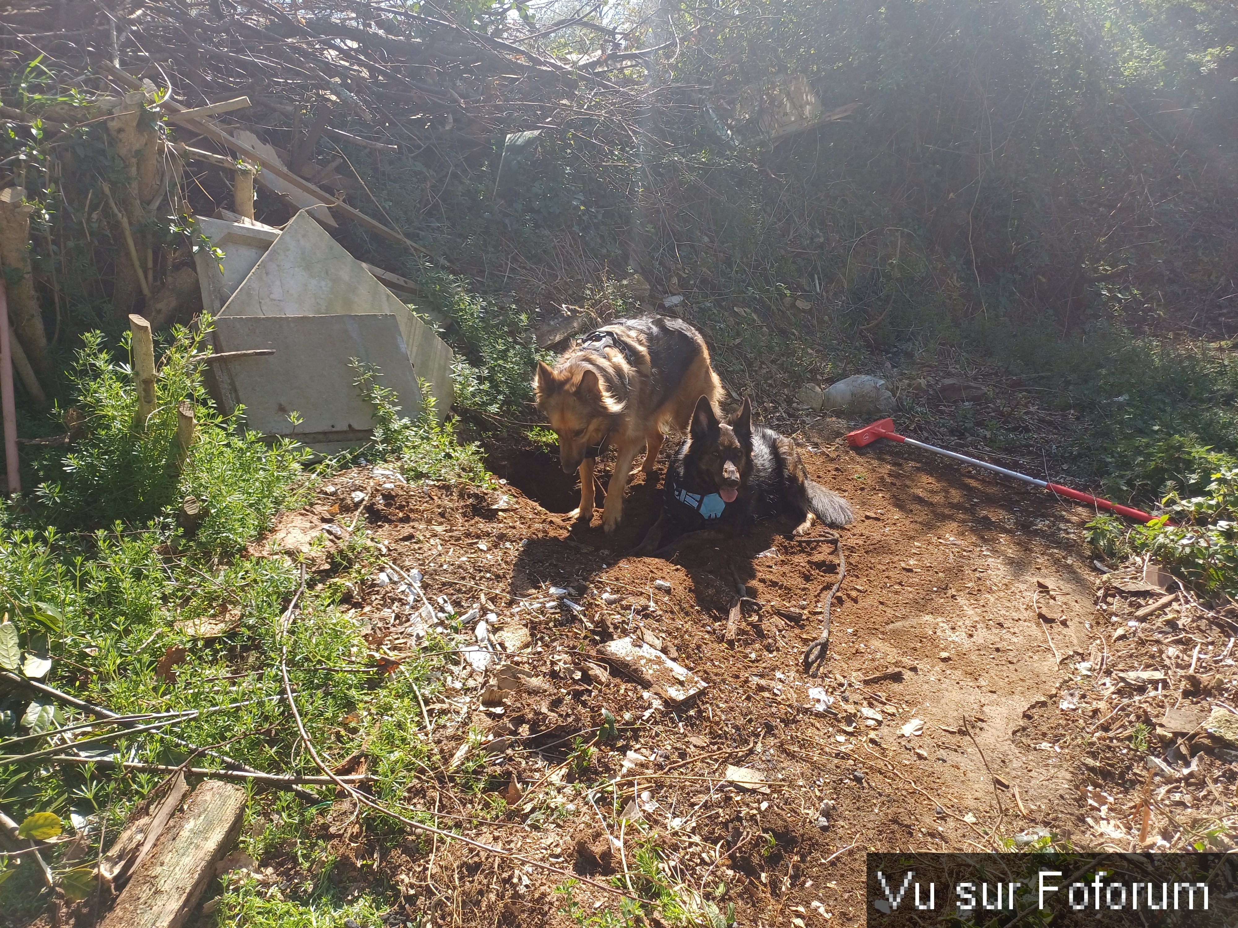 Louna et Pepsy avec Capitaine-Jack 3