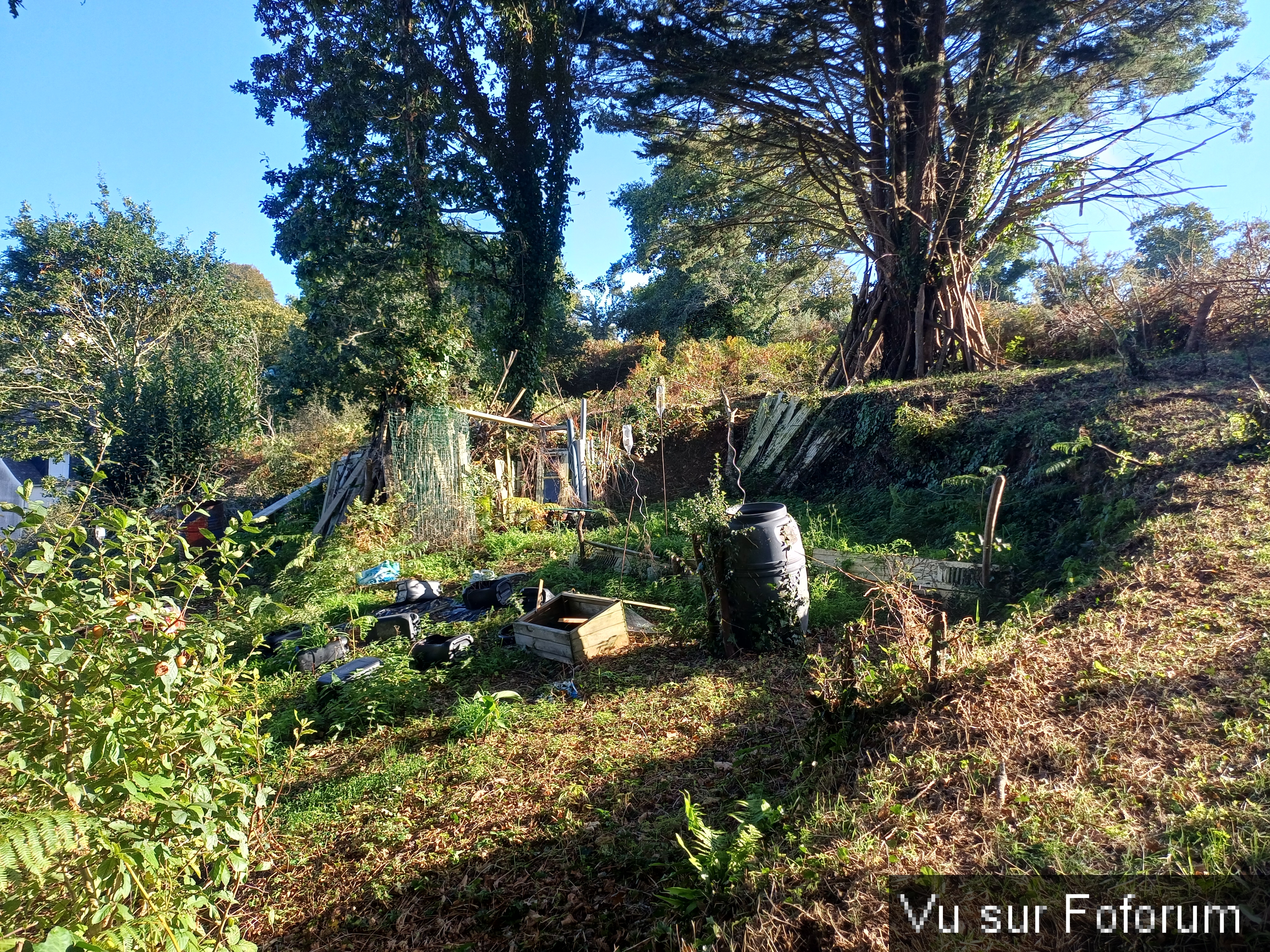 On va démarrer des vignes ici sur la partie droite - Capitaine Jack.jpg