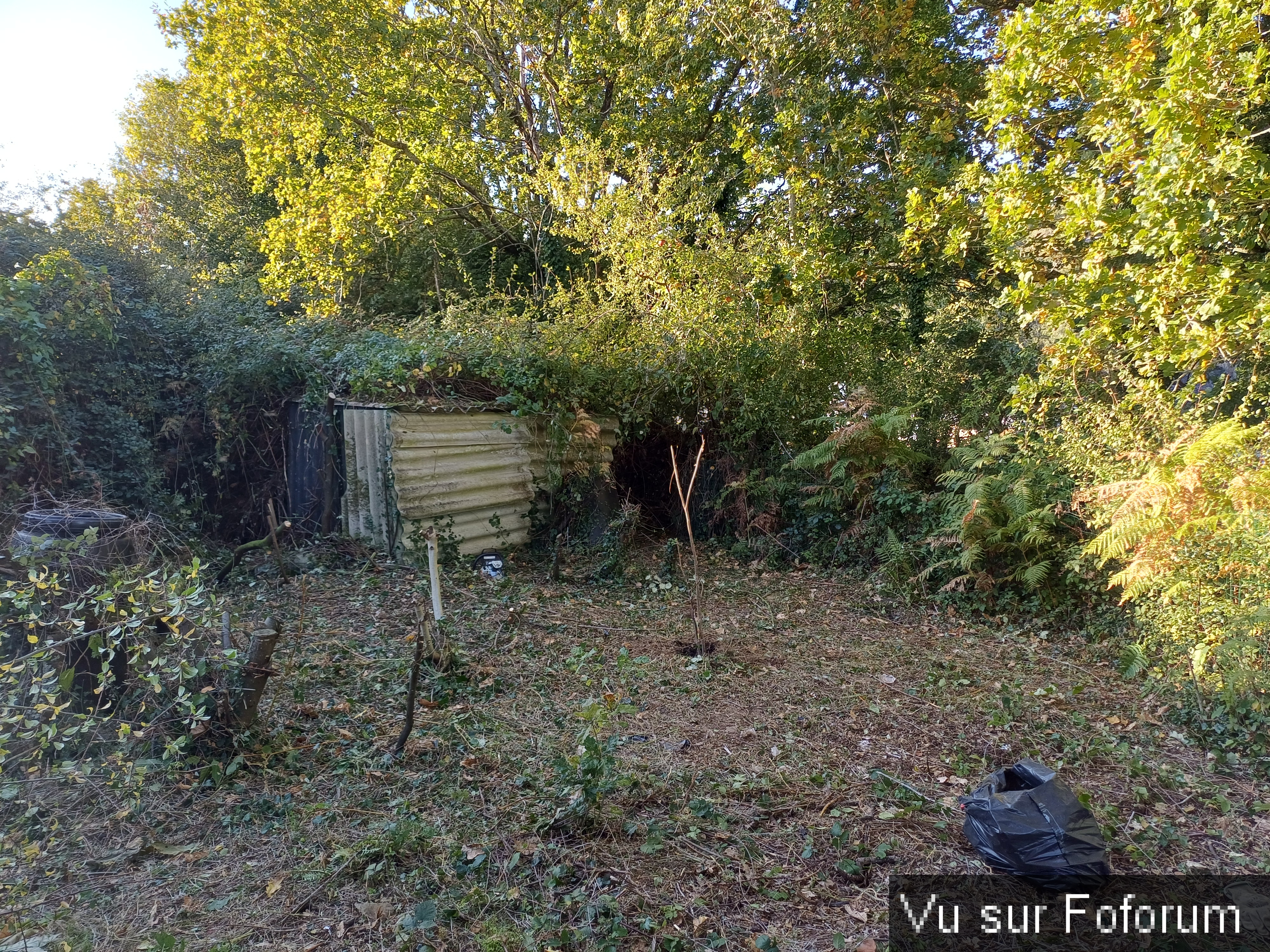 Partie ancien poulailler nettoyé - Capitaine Jack.jpg