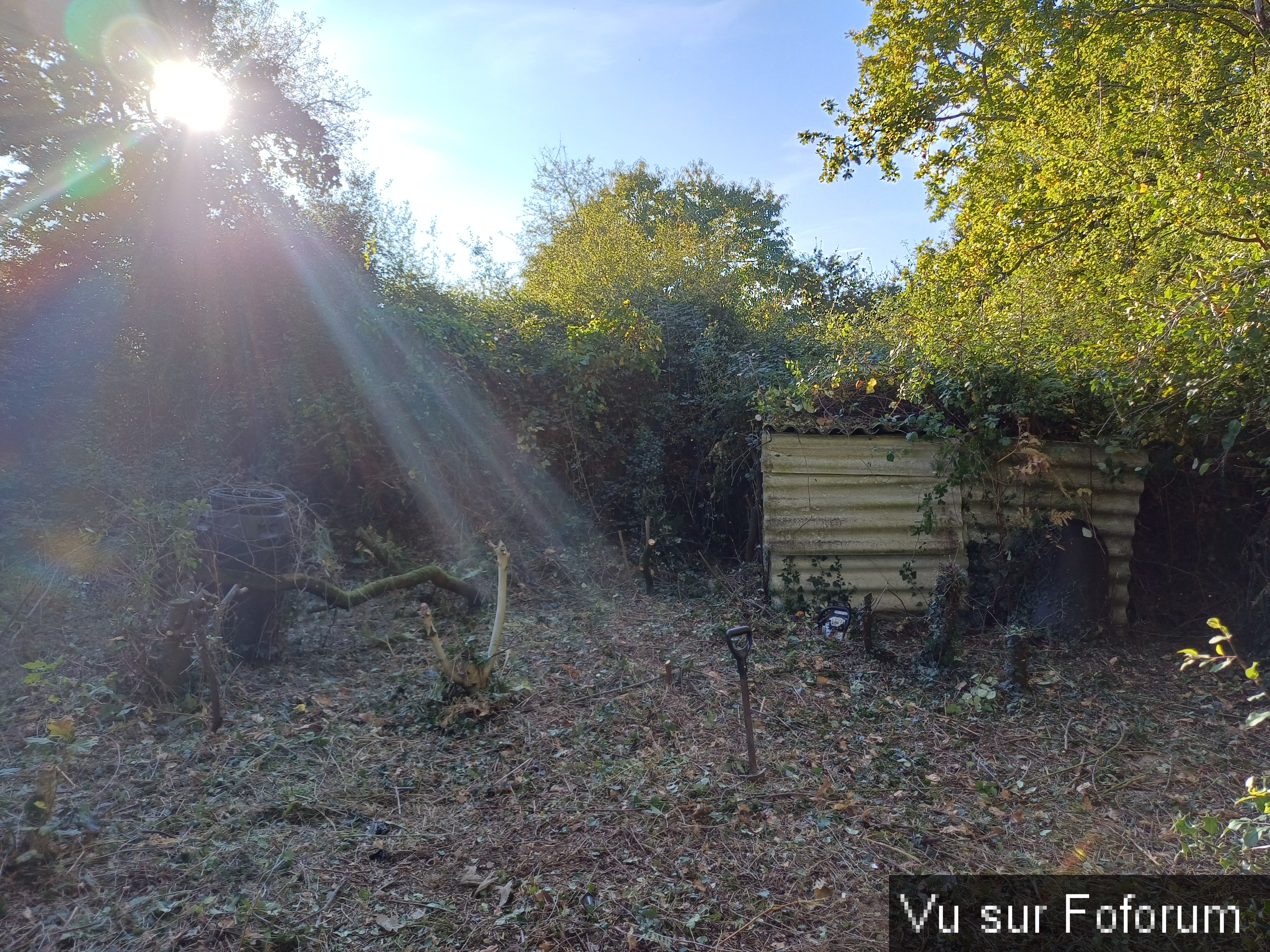 Peut-être une future serre sur la gauche - Capitaine Jack.jpg