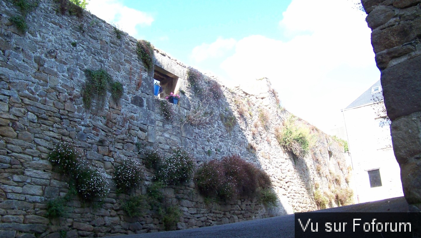 Pont-Croix - Capitaine Jack (105).jpg