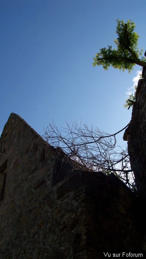 Pont-Croix - Capitaine Jack (171).jpg