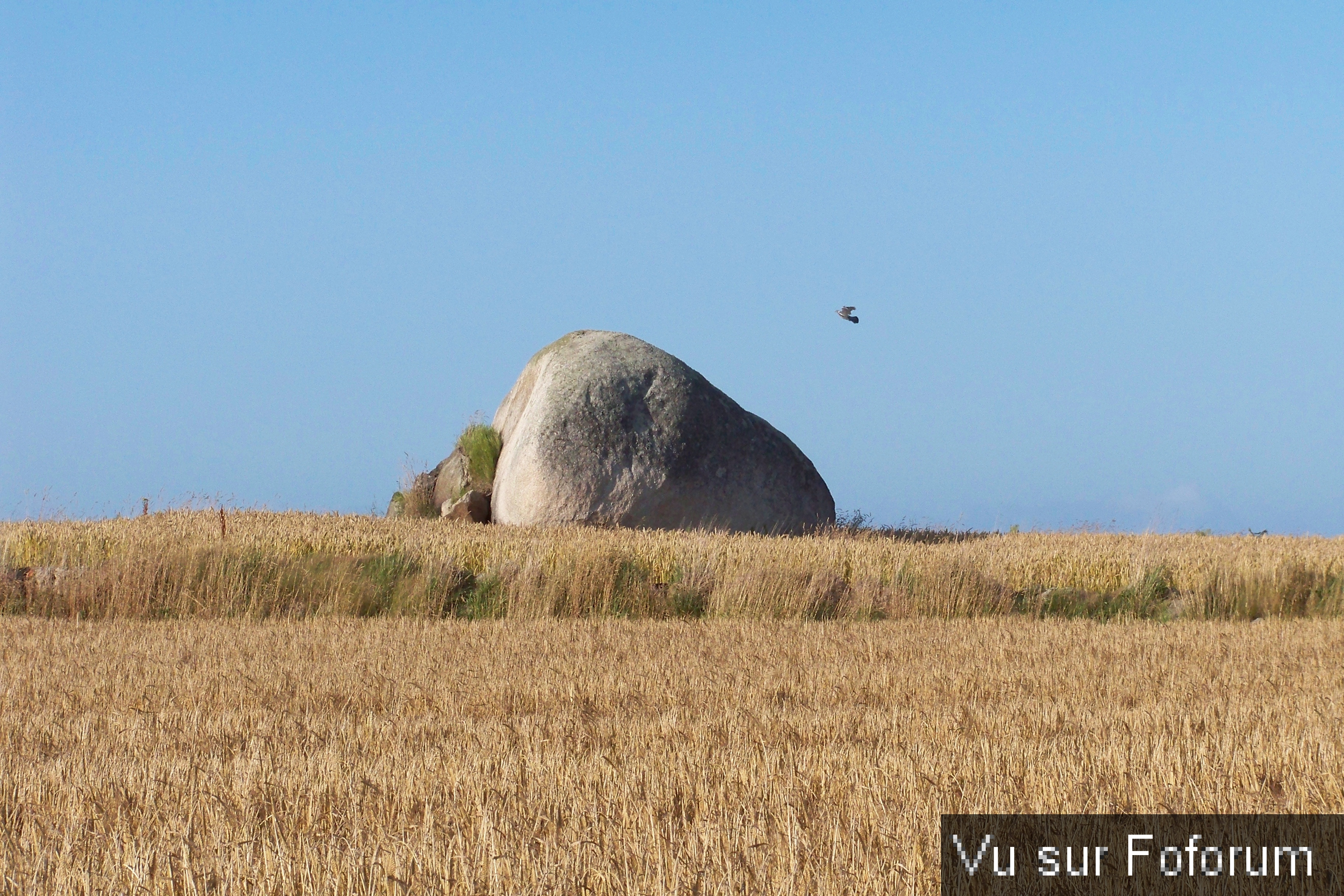 Road-Trip pour Capitaine Jack dans le Finistère Nord (105)