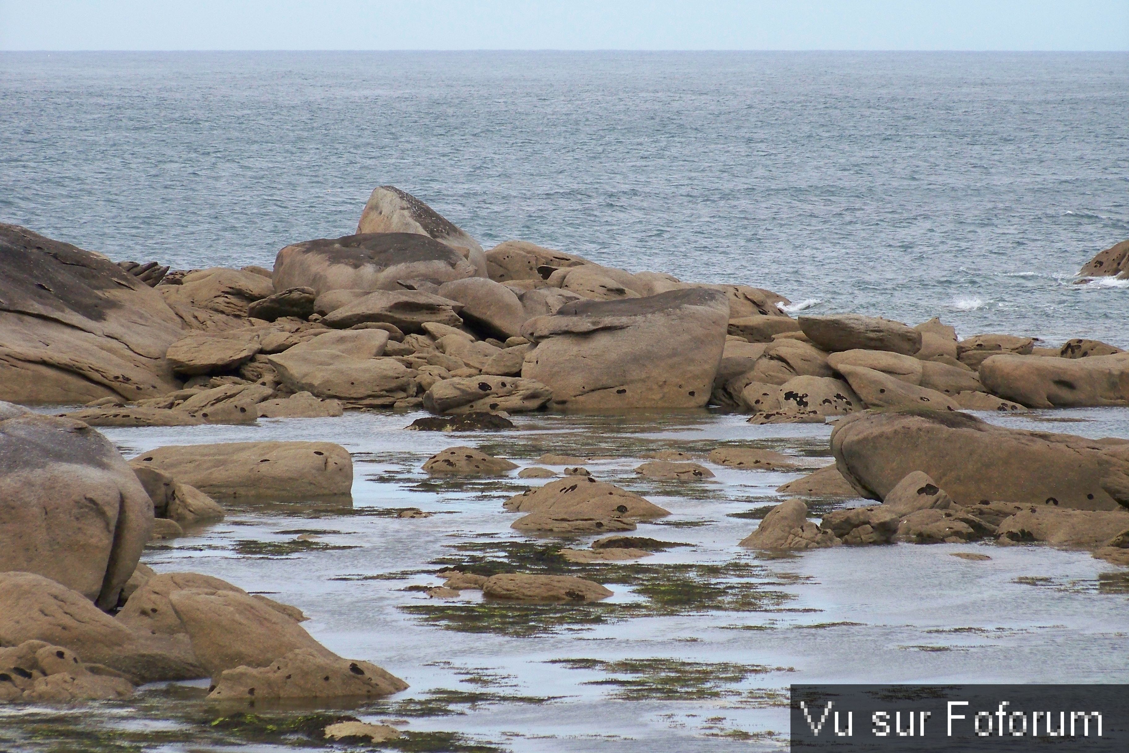Road-Trip pour Capitaine Jack dans le Finistère Nord (14)
